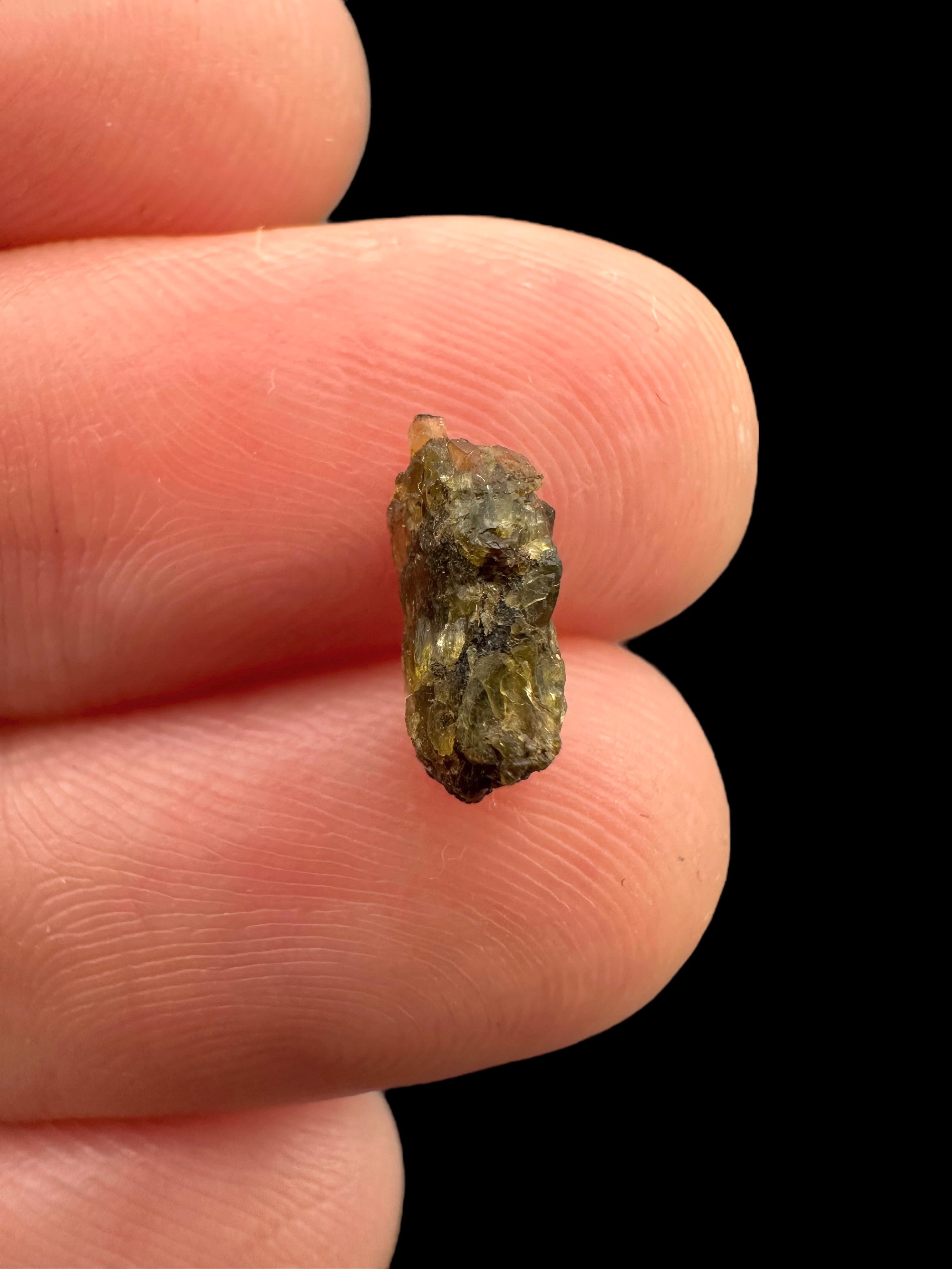 Meteorite NWA 7831 – 0,1g – Western Sahara - MENWA22