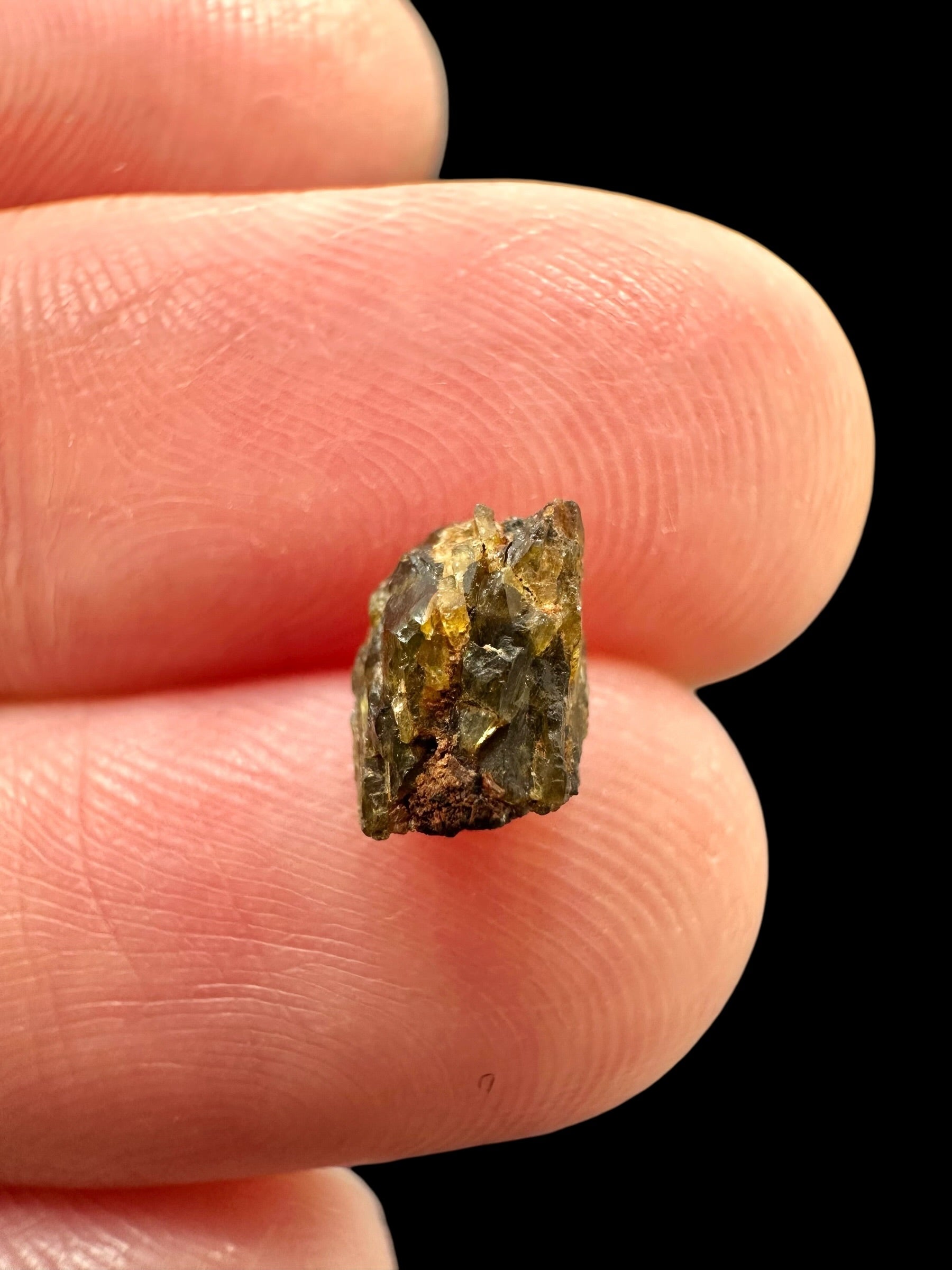Meteorite NWA 7831 – 0,2g – Western Sahara - MENWA24