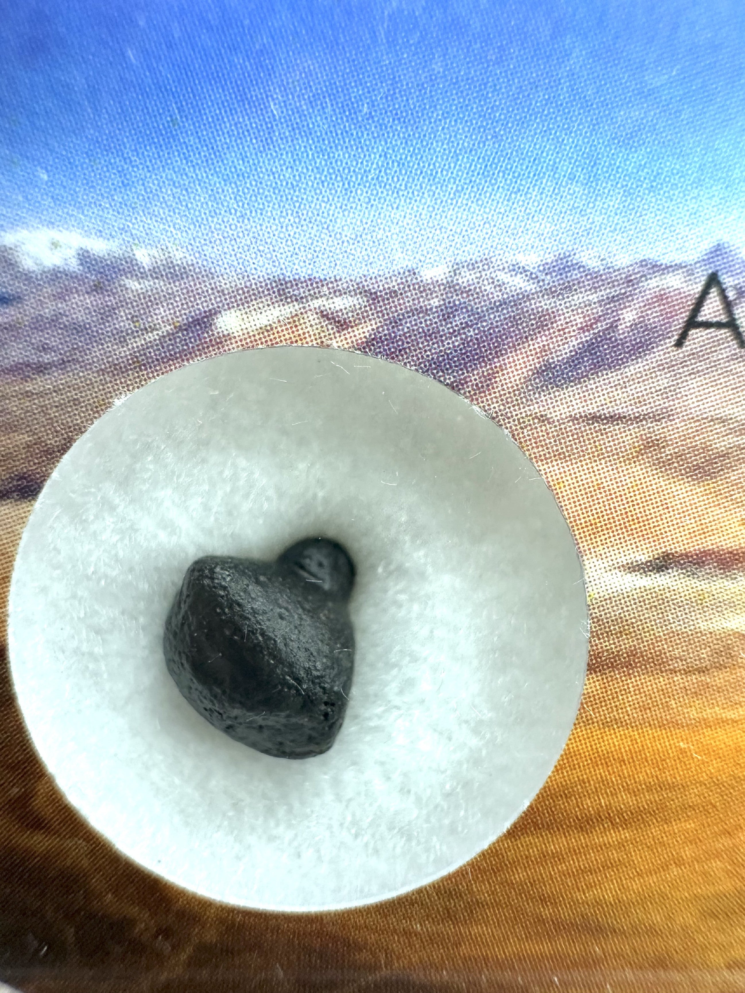 Atacamaite in box – Atacama desert, Chile - ATC025
