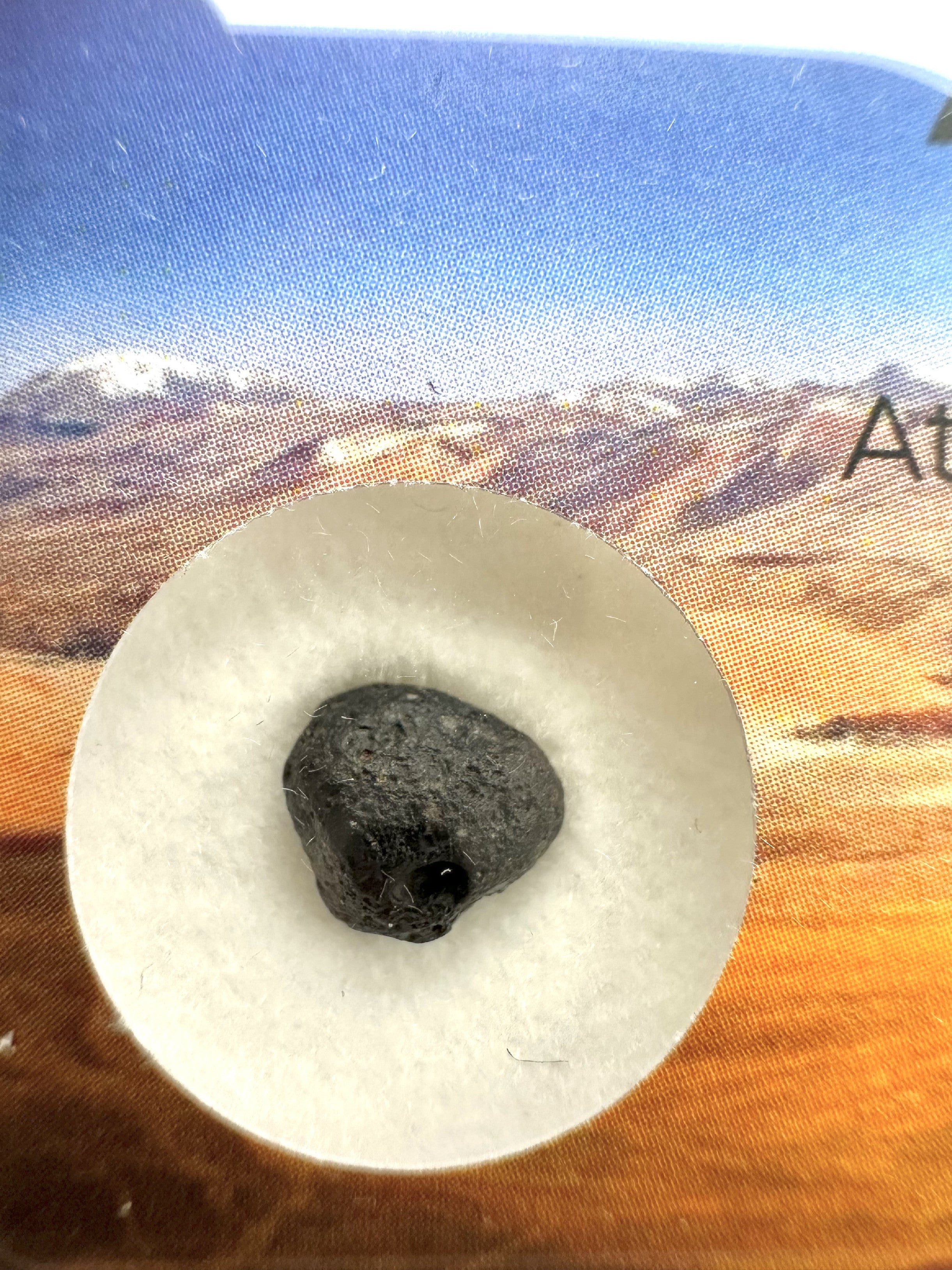 Atacamaite in box – Atacama desert, Chile - ATC028
