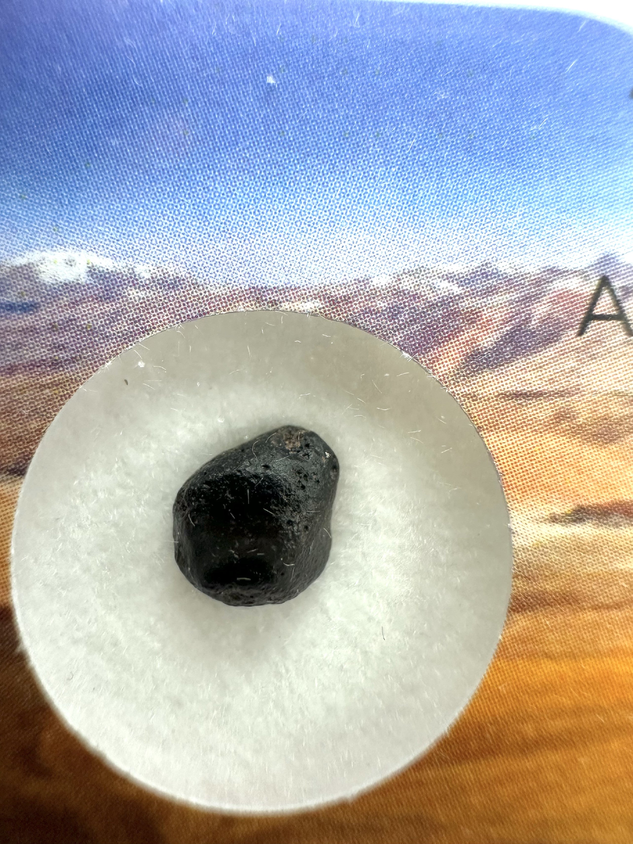 Atacamaite in box – Atacama desert, Chile - ATC029