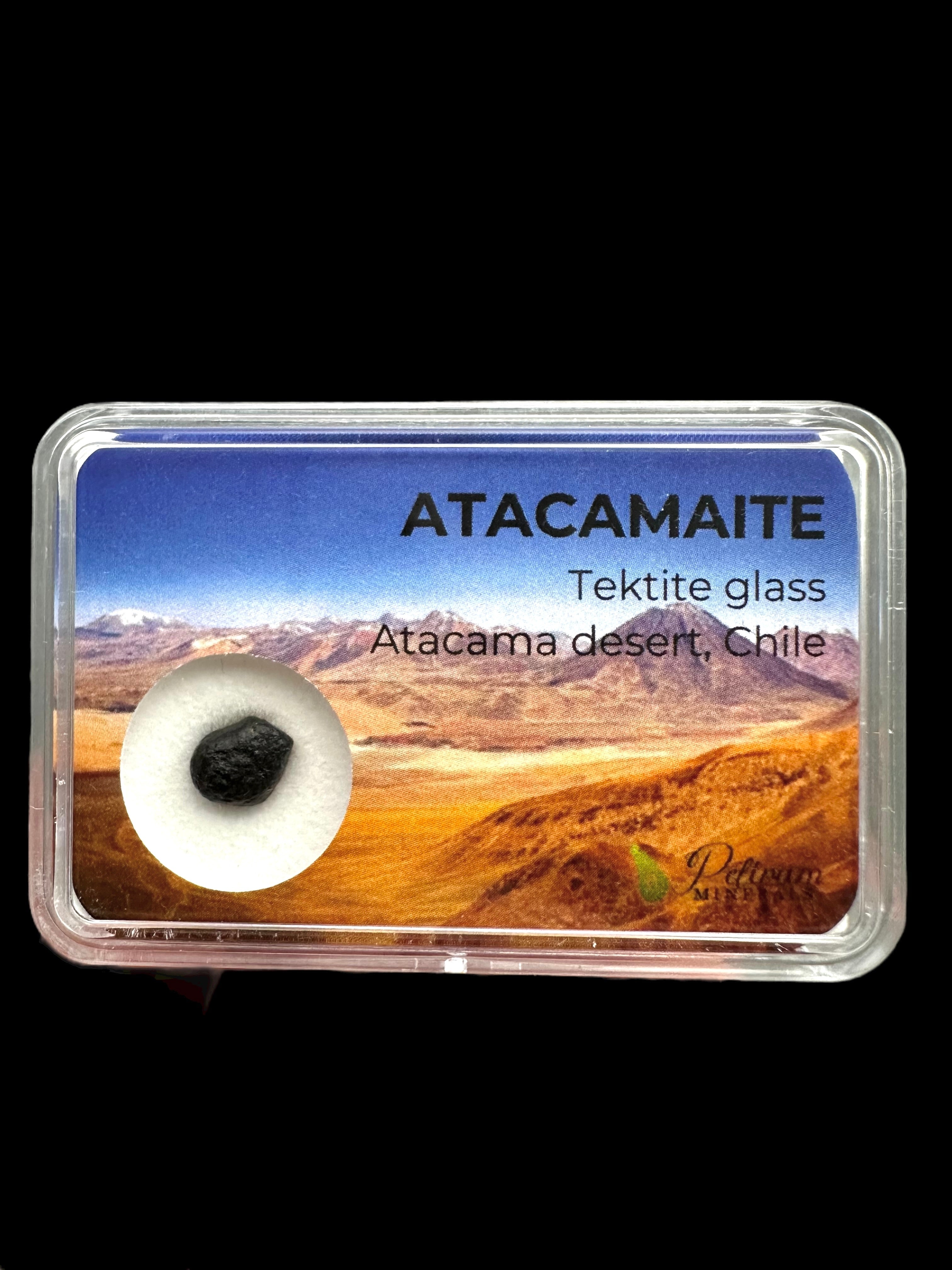 Atacamaite in box – Atacama desert, Chile