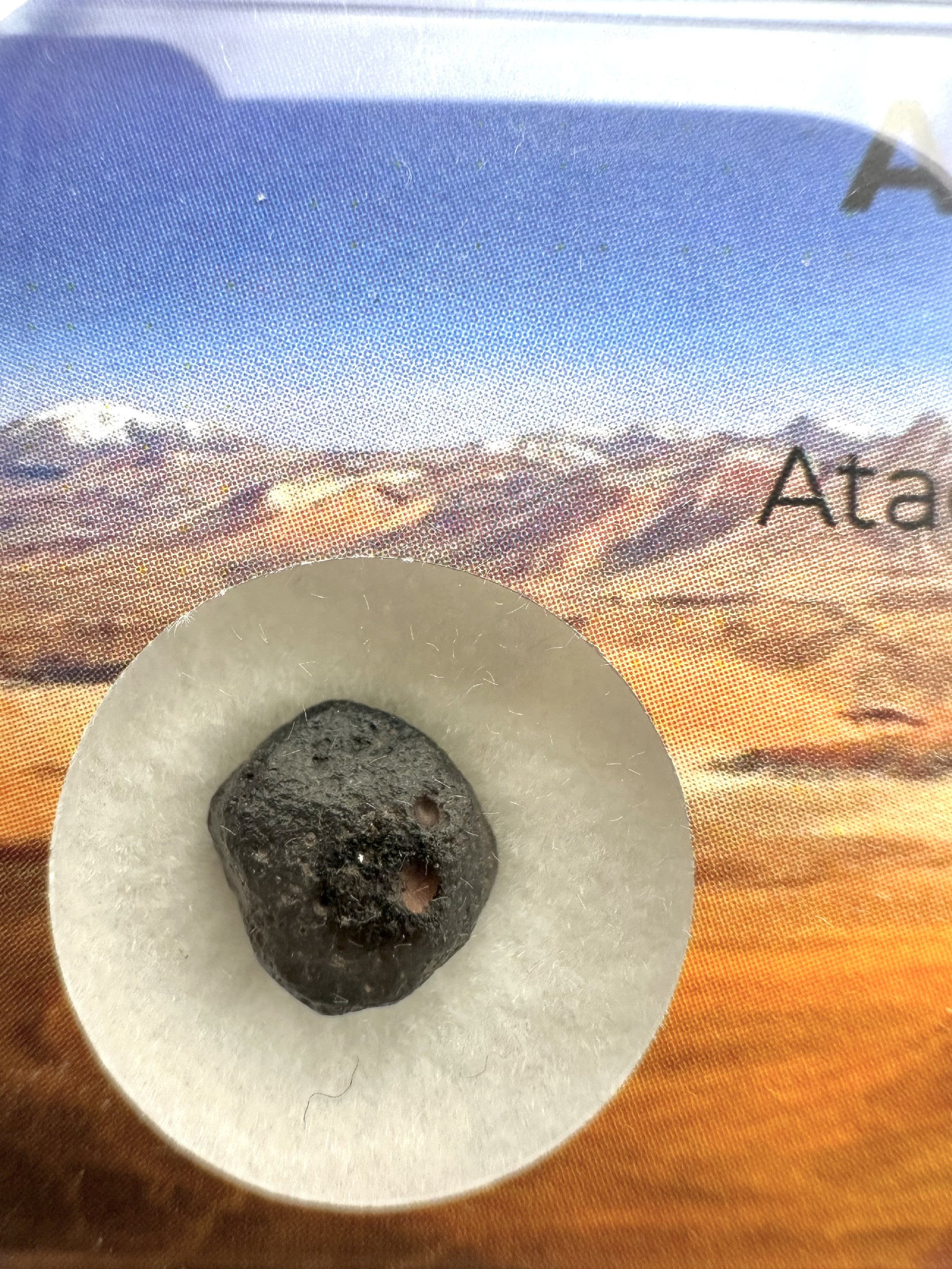 Atacamaite in box – Atacama desert, Chile - ATC031