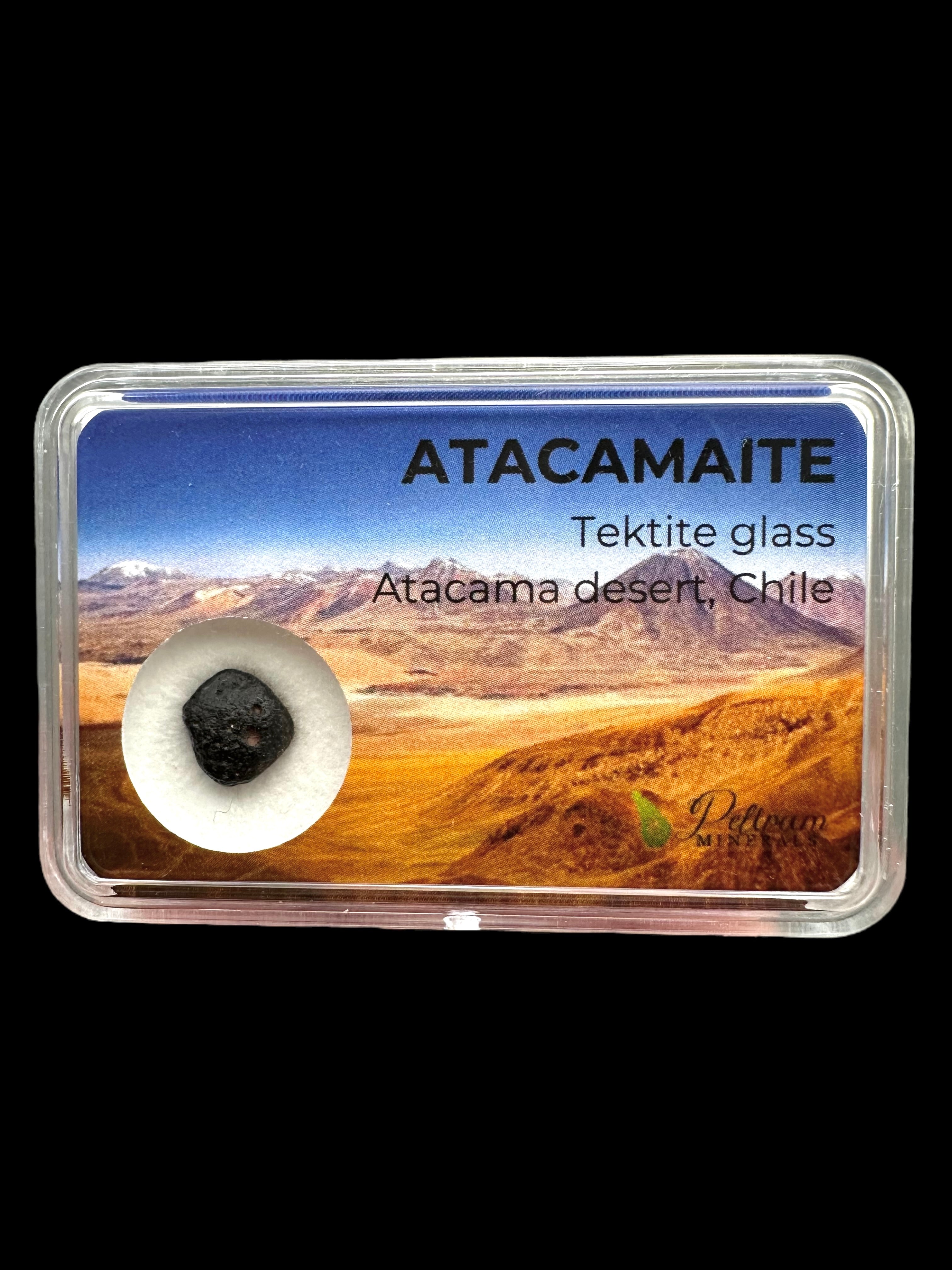 Atacamaite in box – Atacama desert, Chile