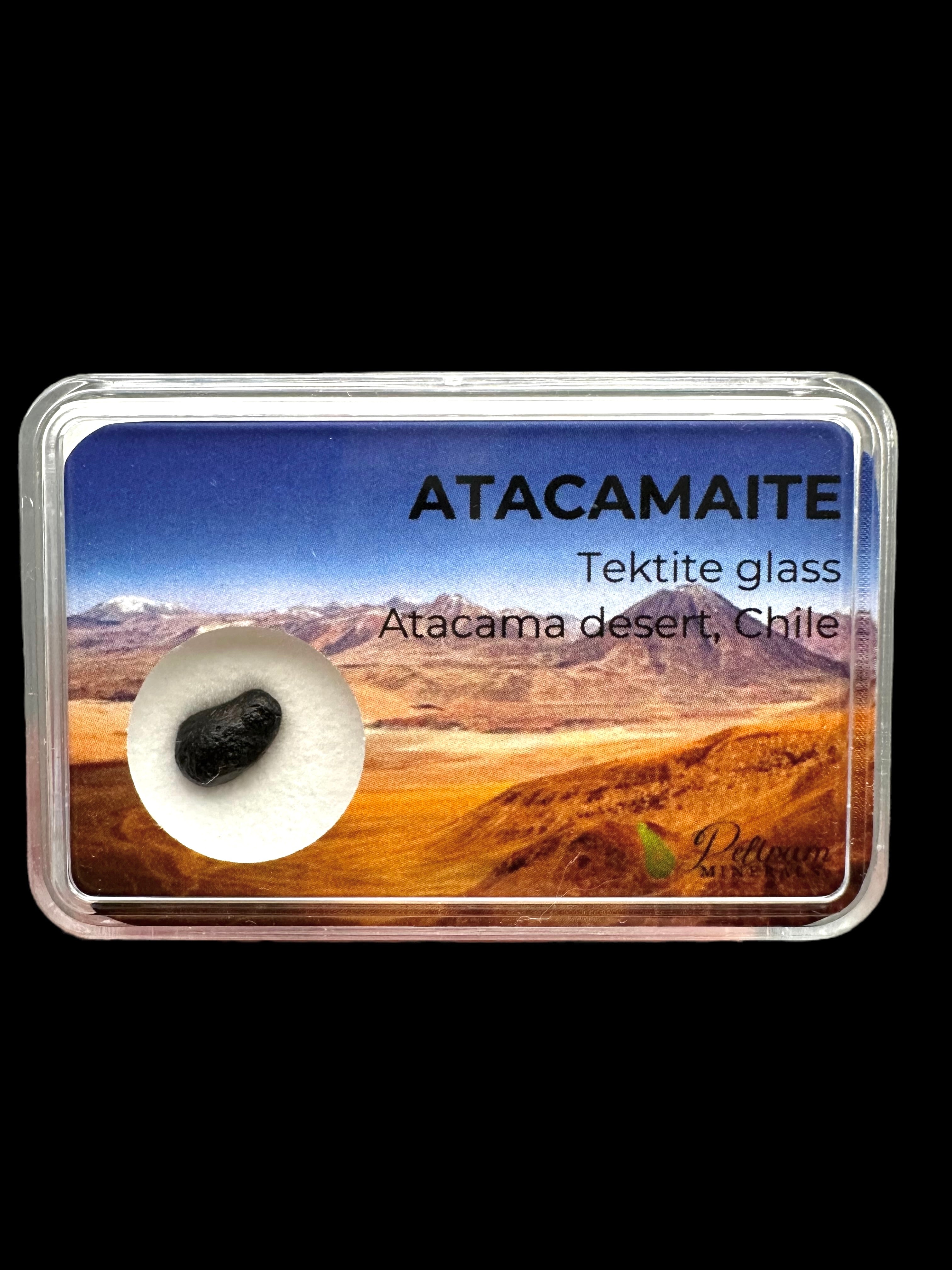 Atacamaite in box – Atacama desert, Chile