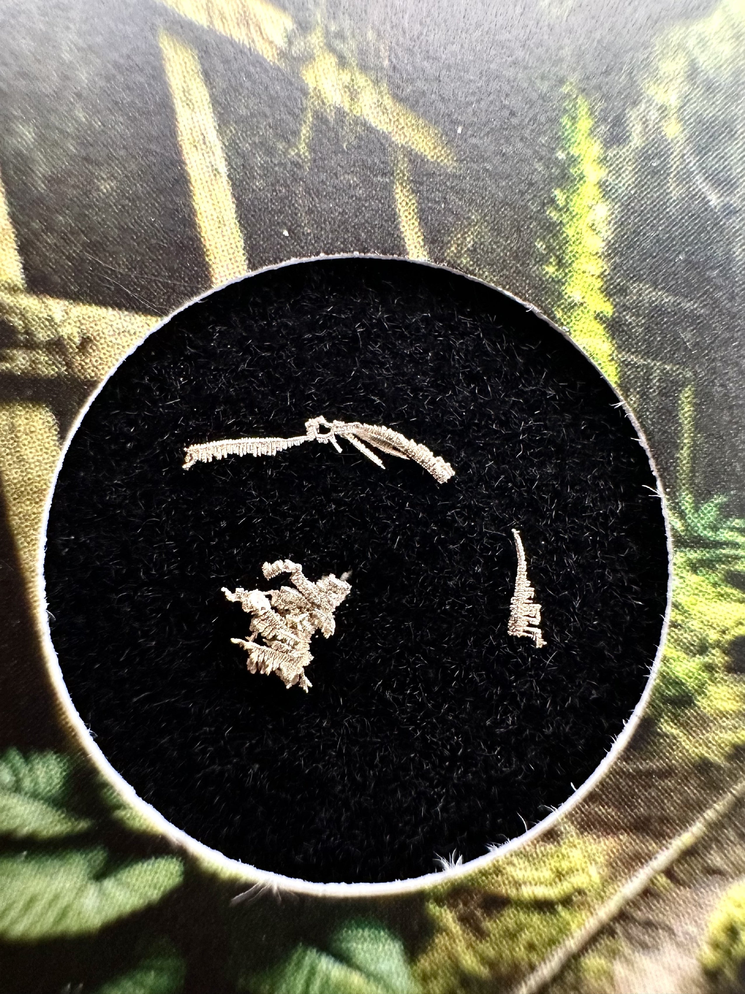 Silver in box – Dul Svornost, Jachymov, CZ - RS025
