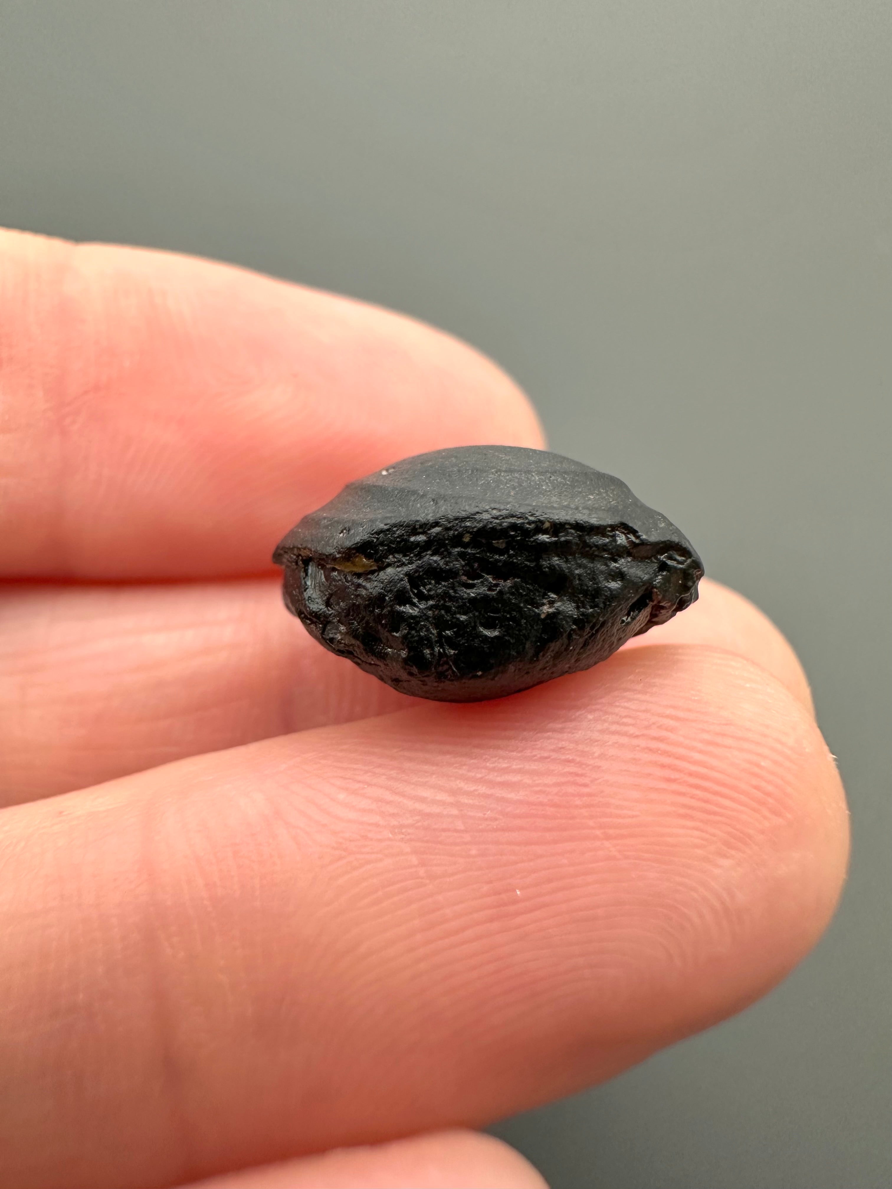 Australite "button" 1,9g – Kalgoorlie, Western Australia - AU035