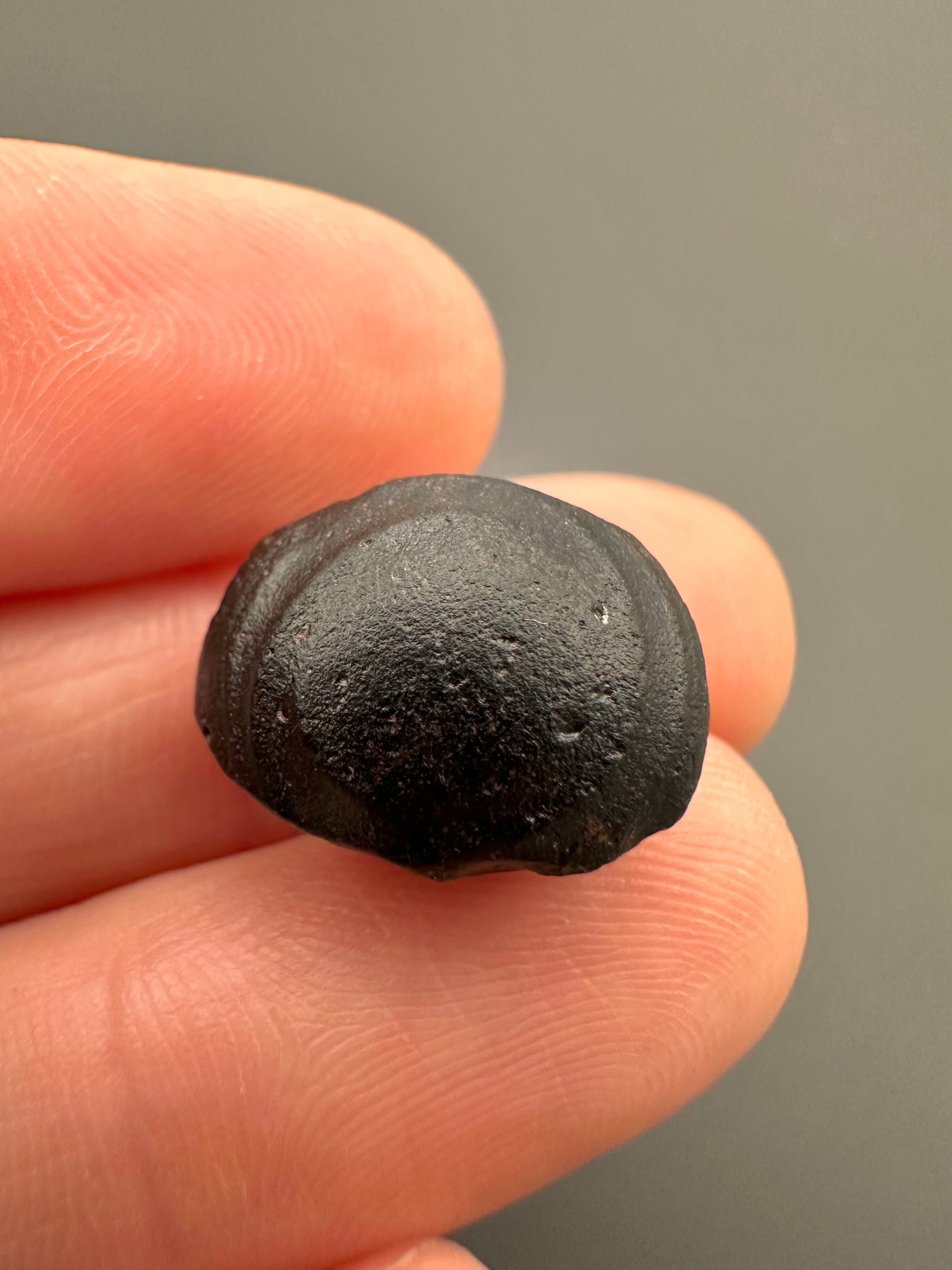 Australite "button" 1,9g – Kalgoorlie, Western Australia