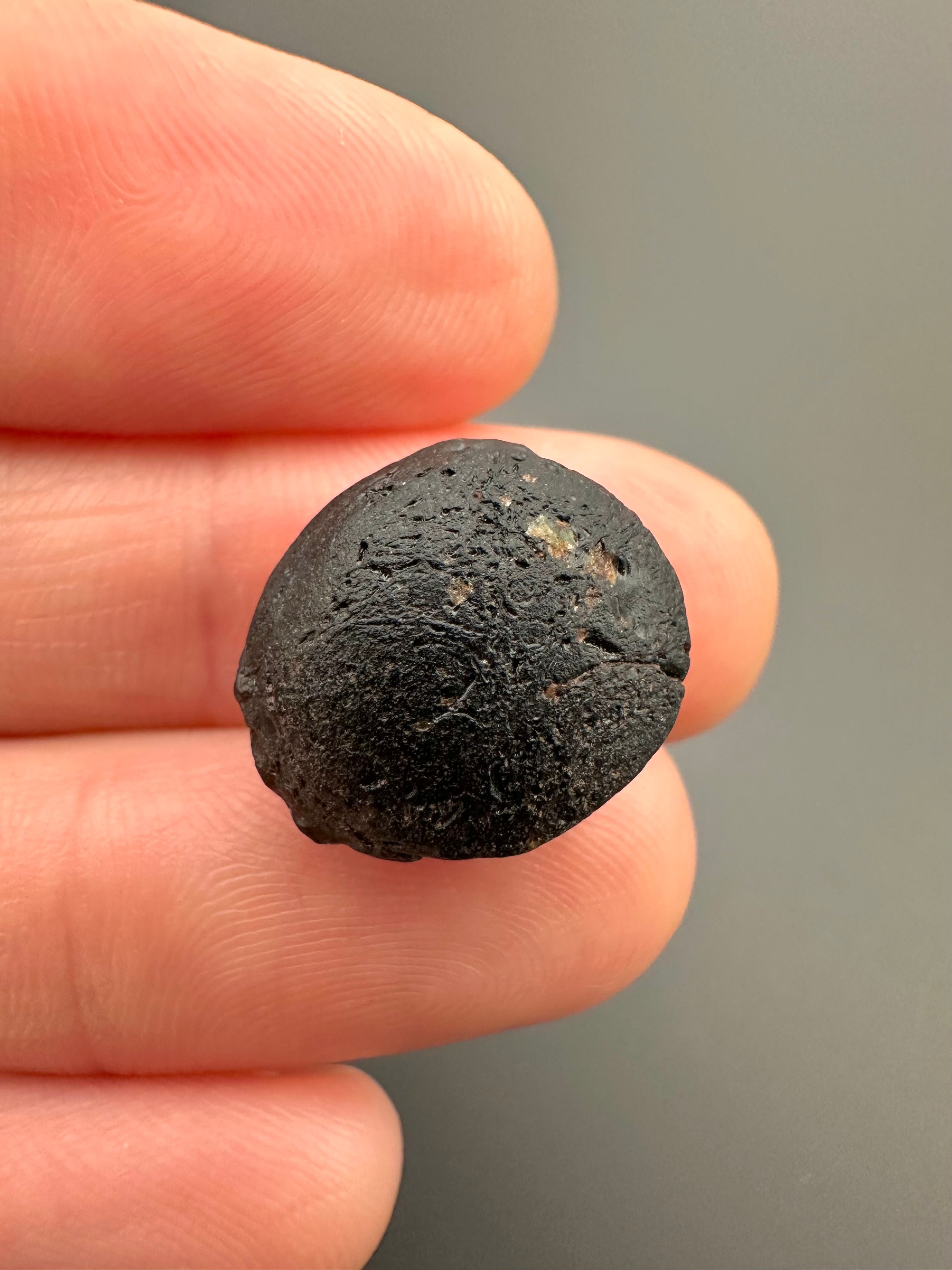 Australite "button" 2g – Kalgoorlie, Western Australia - AU037