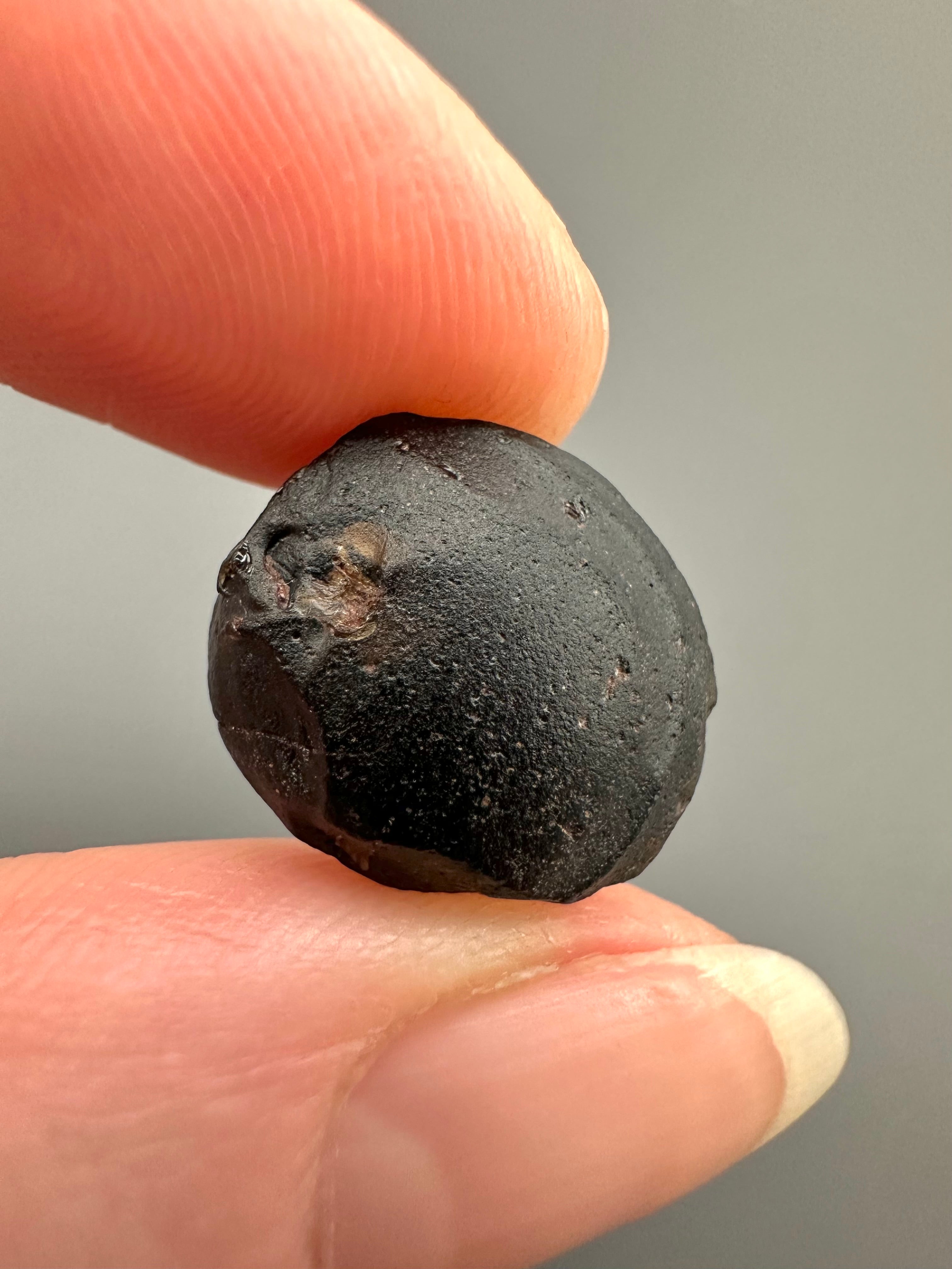 Australite "button" 2g – Kalgoorlie, Western Australia - AU037