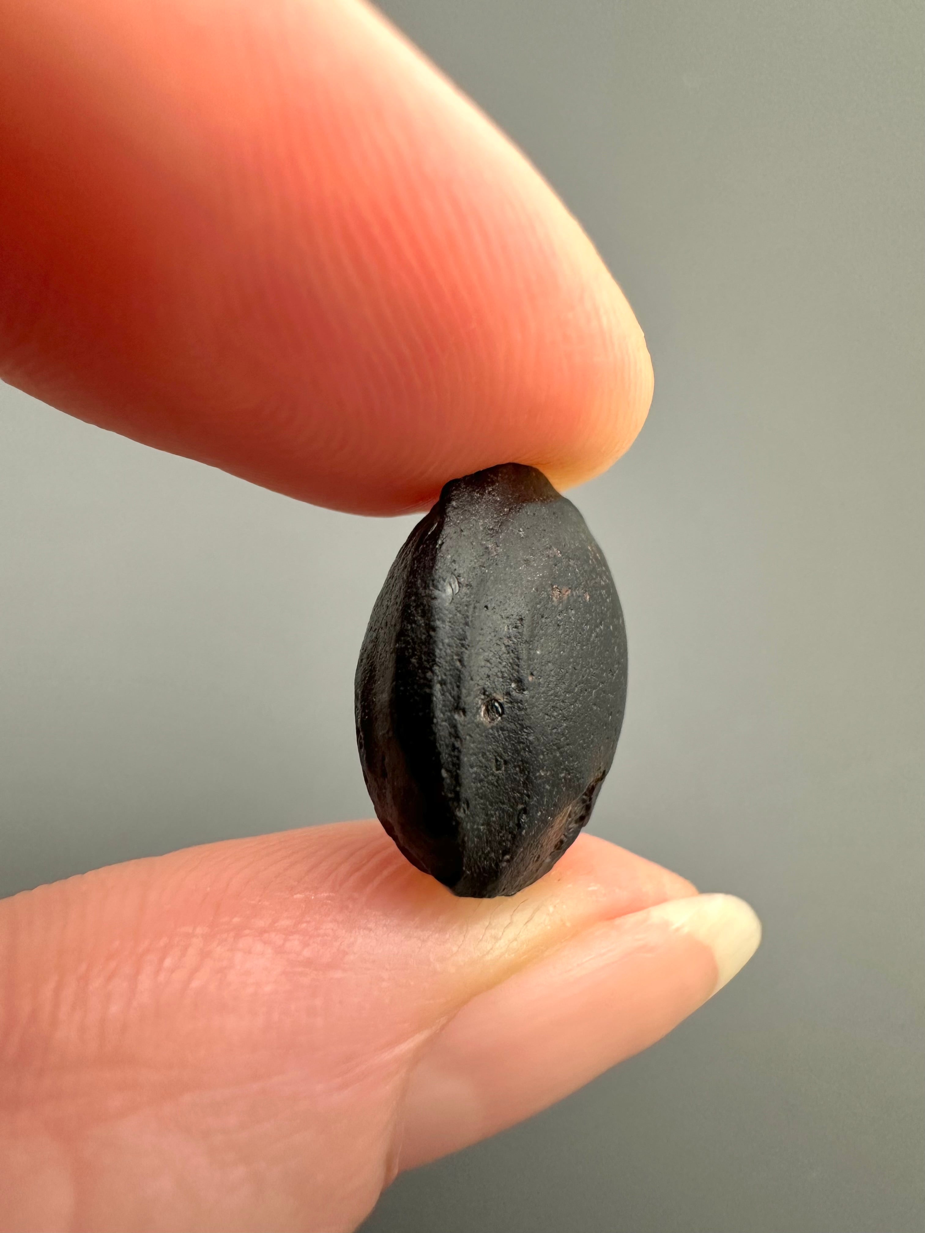 Australite "button" 2g – Kalgoorlie, Western Australia - AU037