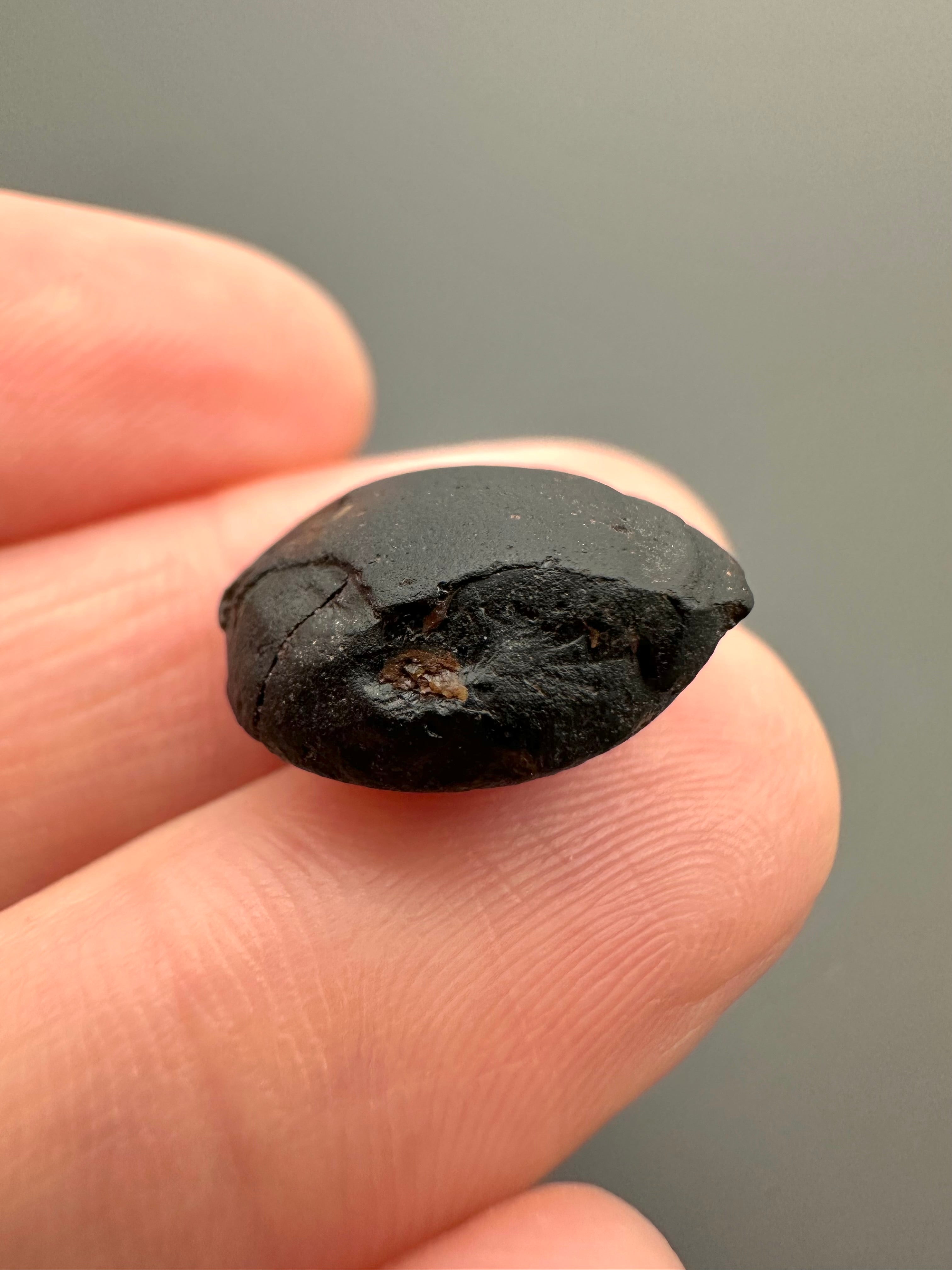 Australite "button" 2g – Kalgoorlie, Western Australia - AU037