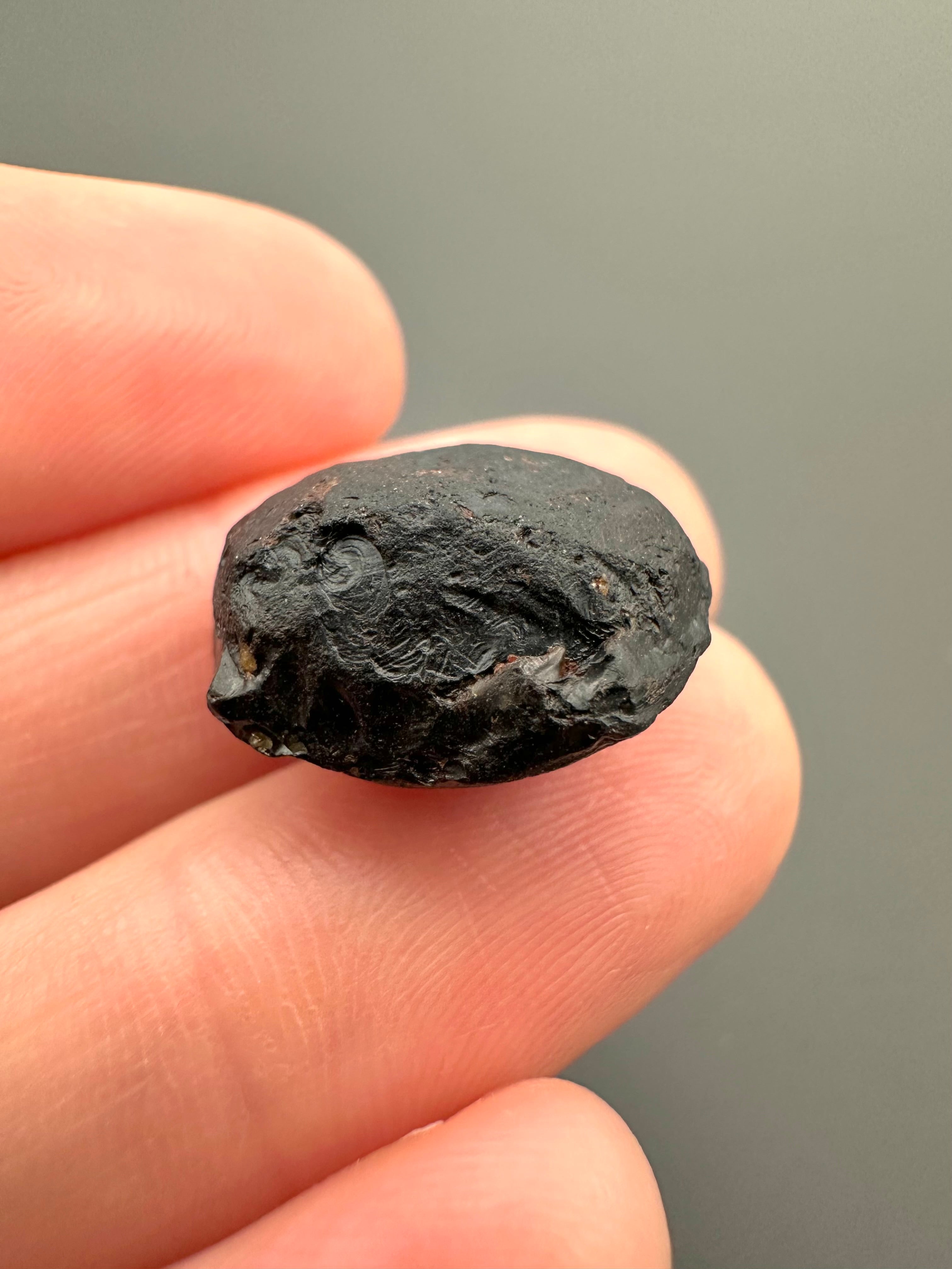 Australite "button" 2,7g – Kalgoorlie, Western Australia - AU038