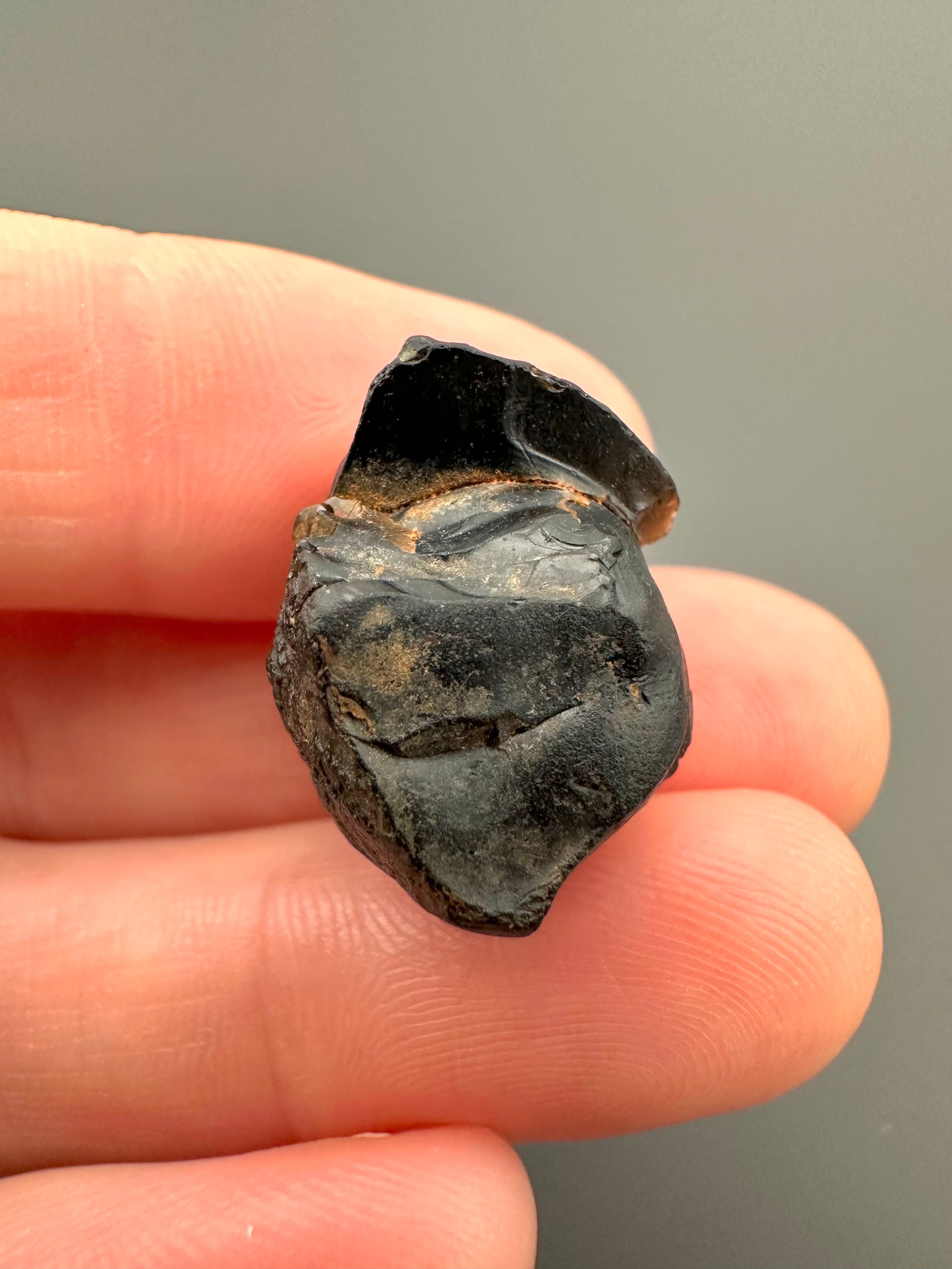 Australite "button" 4,5g – Kalgoorlie, Western Australia - AU039