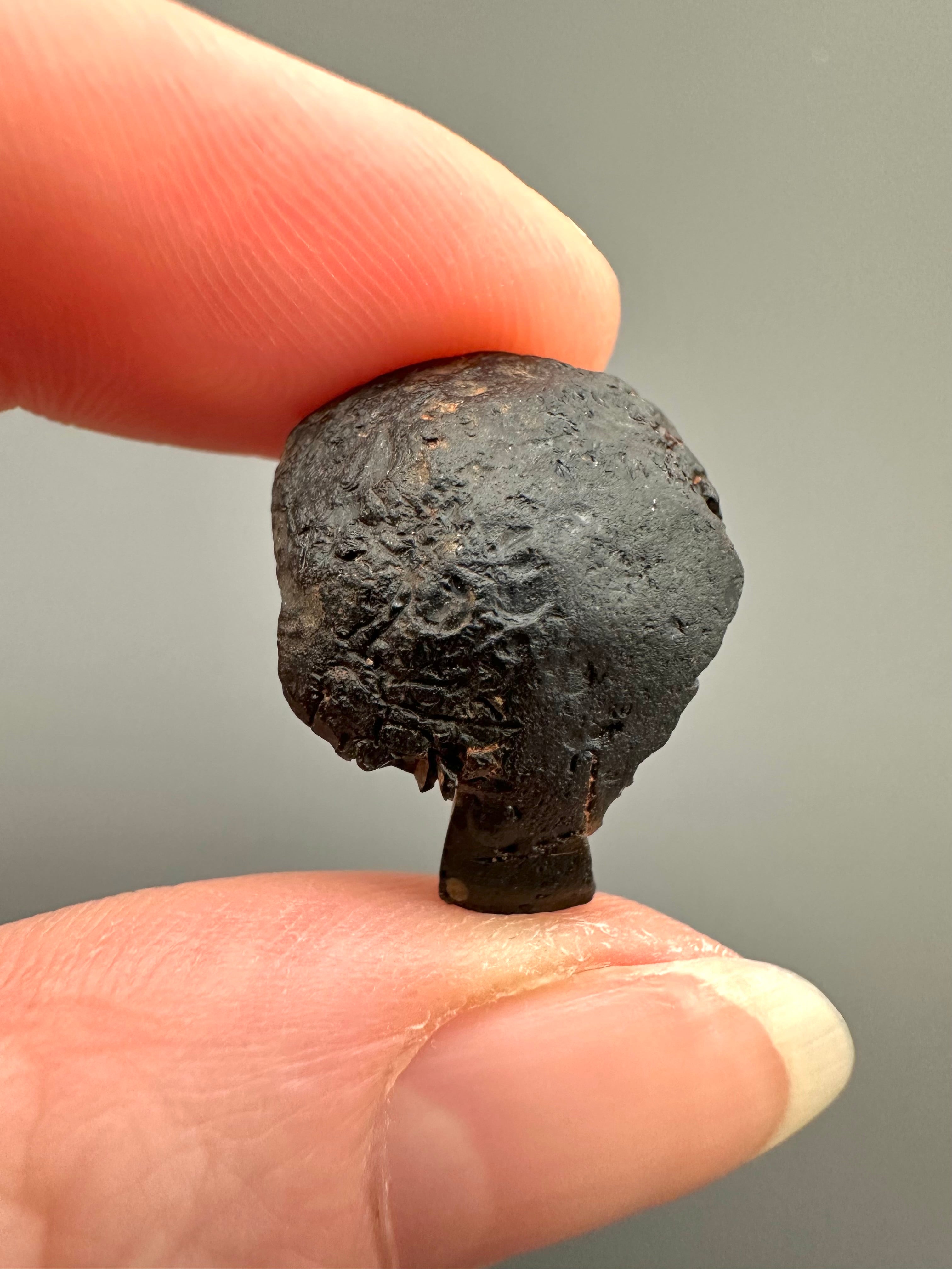 Australite "button" 4,5g – Kalgoorlie, Western Australia - AU039