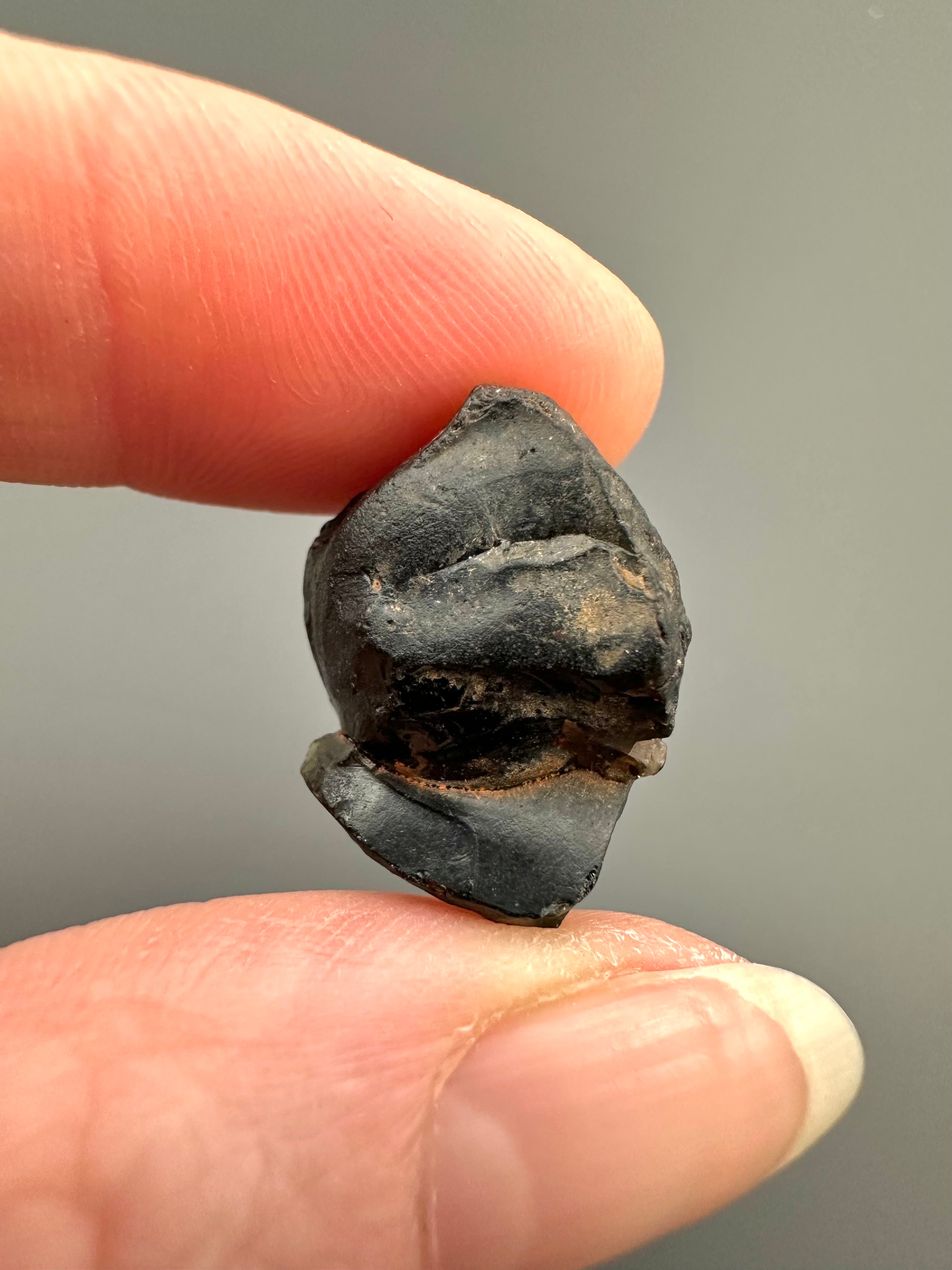 Australite "button" 4,5g – Kalgoorlie, Western Australia - AU039
