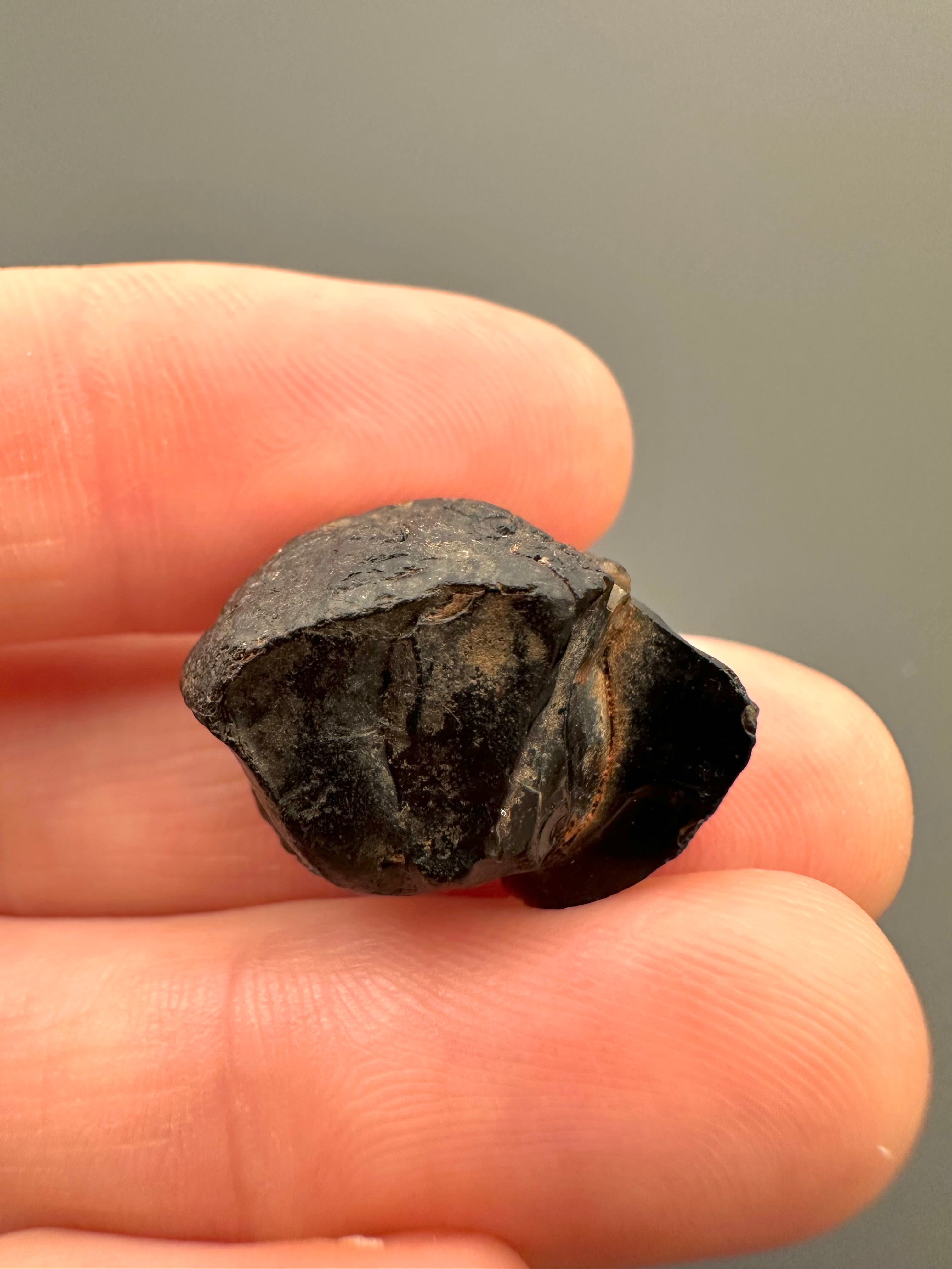 Australite "button" 4,5g – Kalgoorlie, Western Australia - AU039