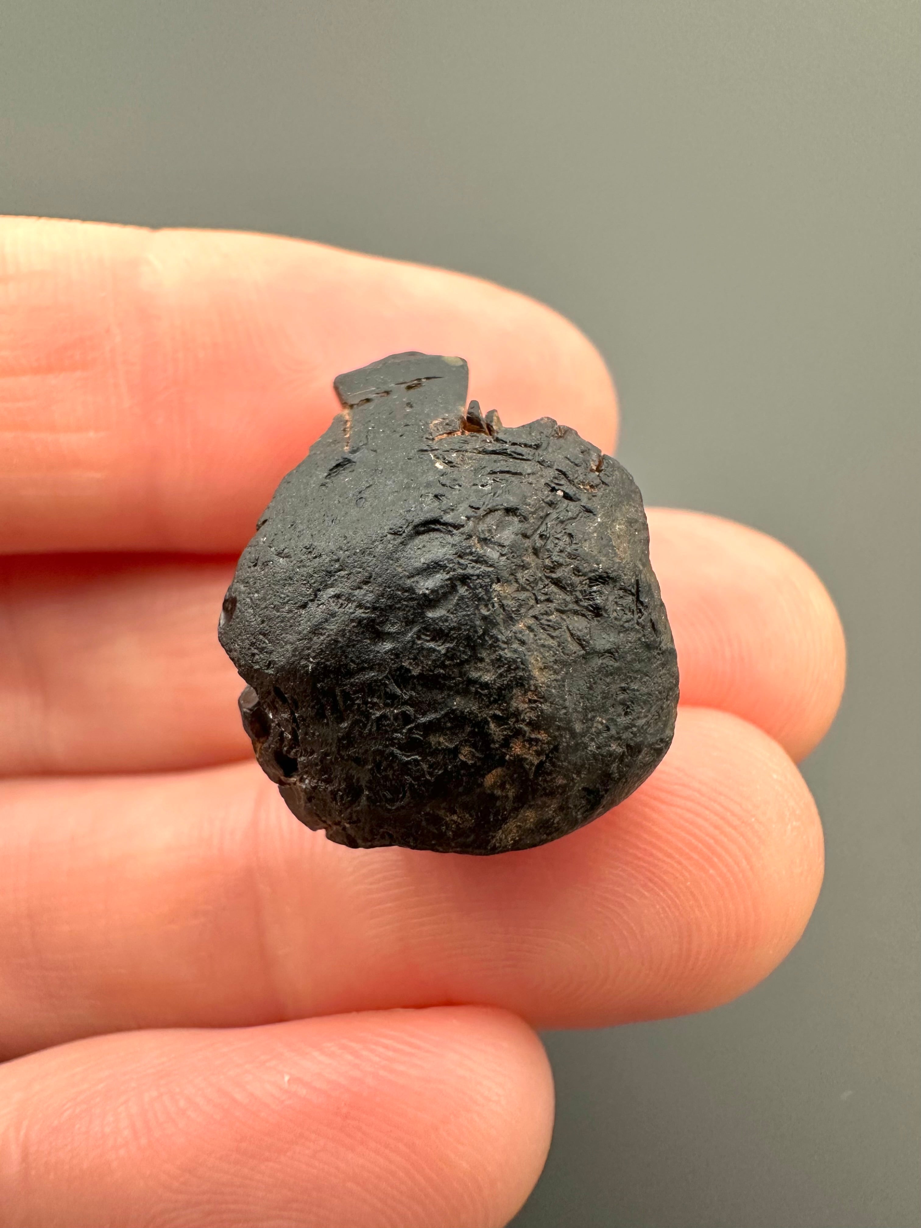 Australite "button" 4,5g – Kalgoorlie, Western Australia