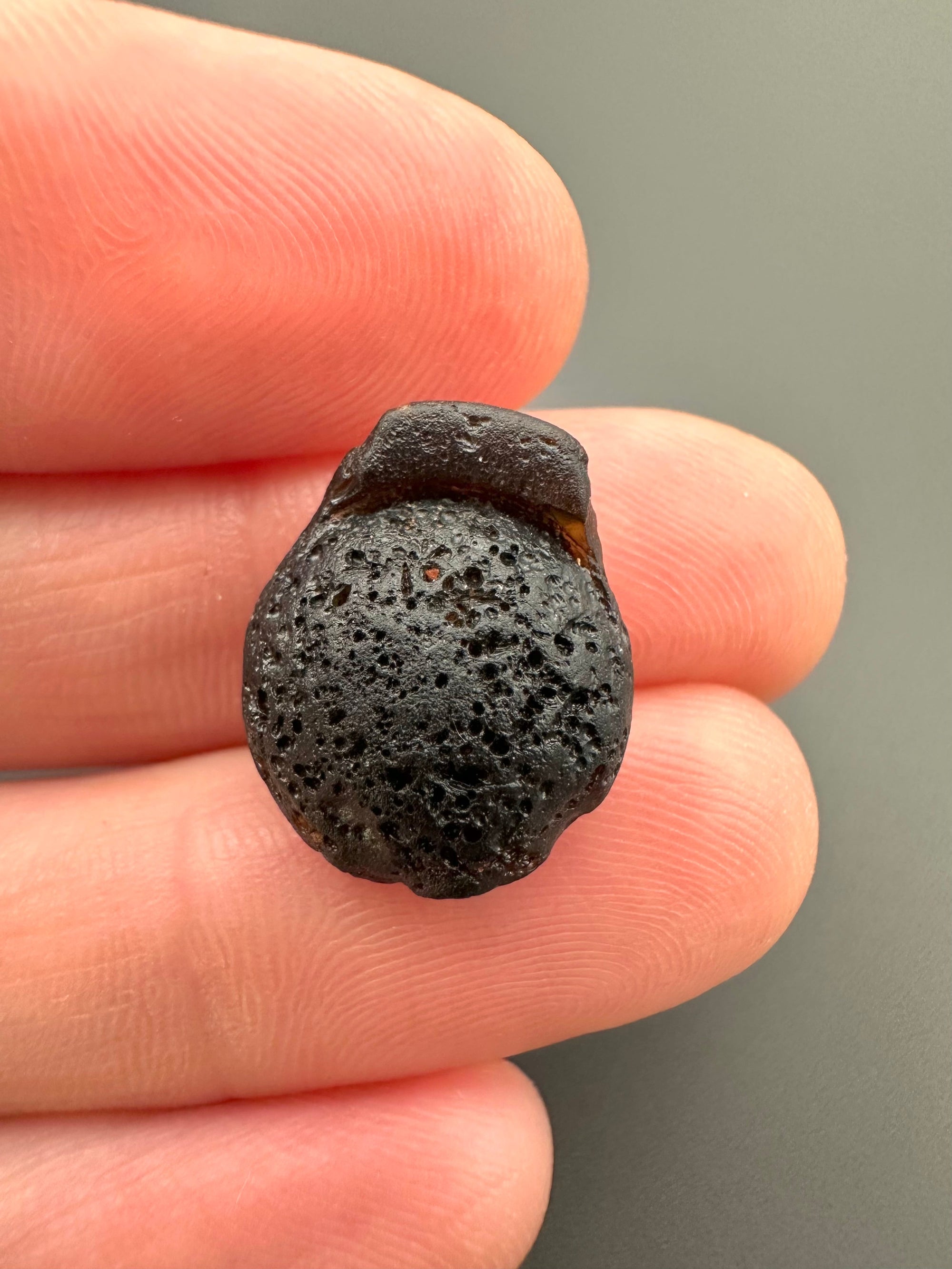 Australite "button" 1,6g – Kalgoorlie, Western Australia