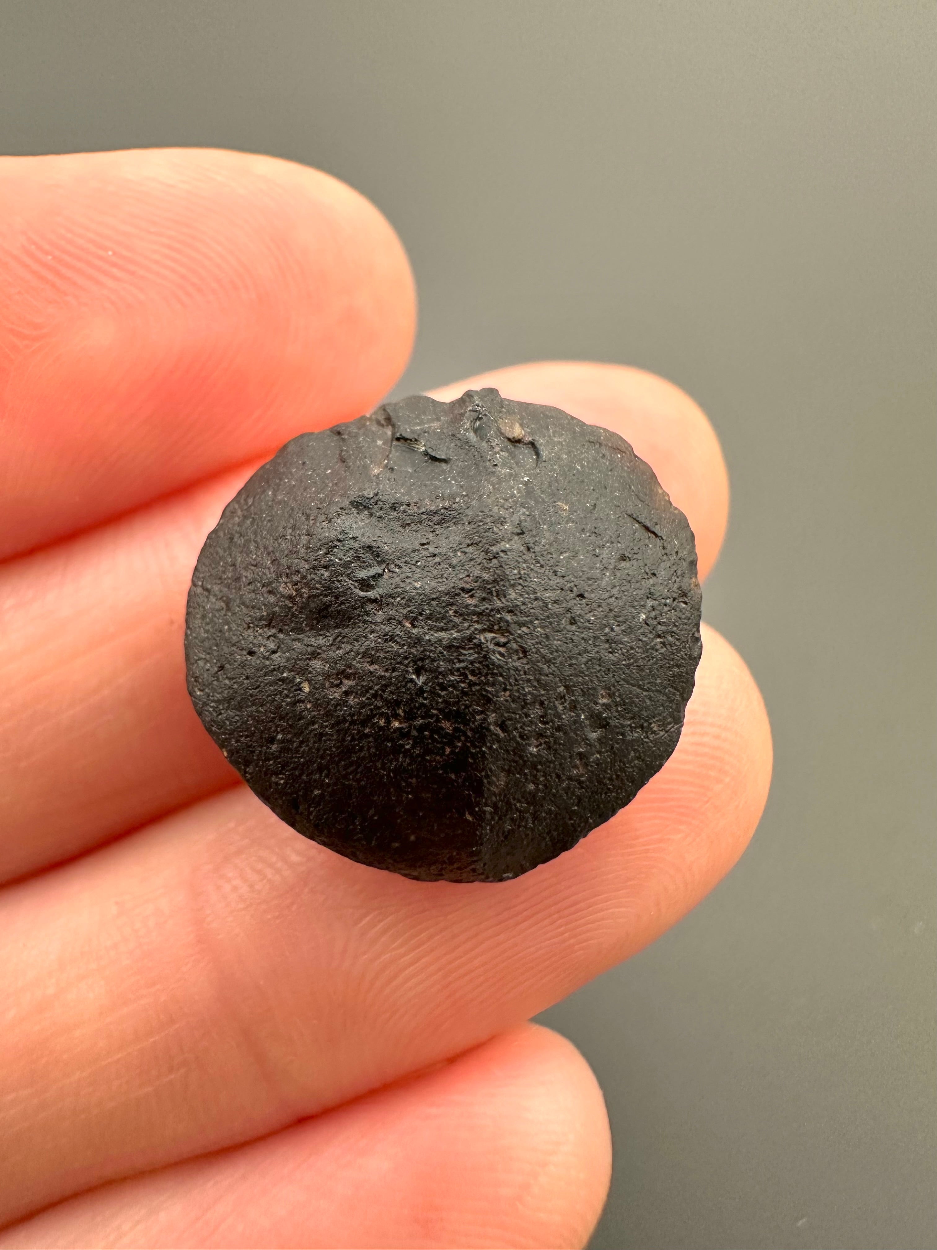 Australite "button" 2,9g – Kalgoorlie, Western Australia