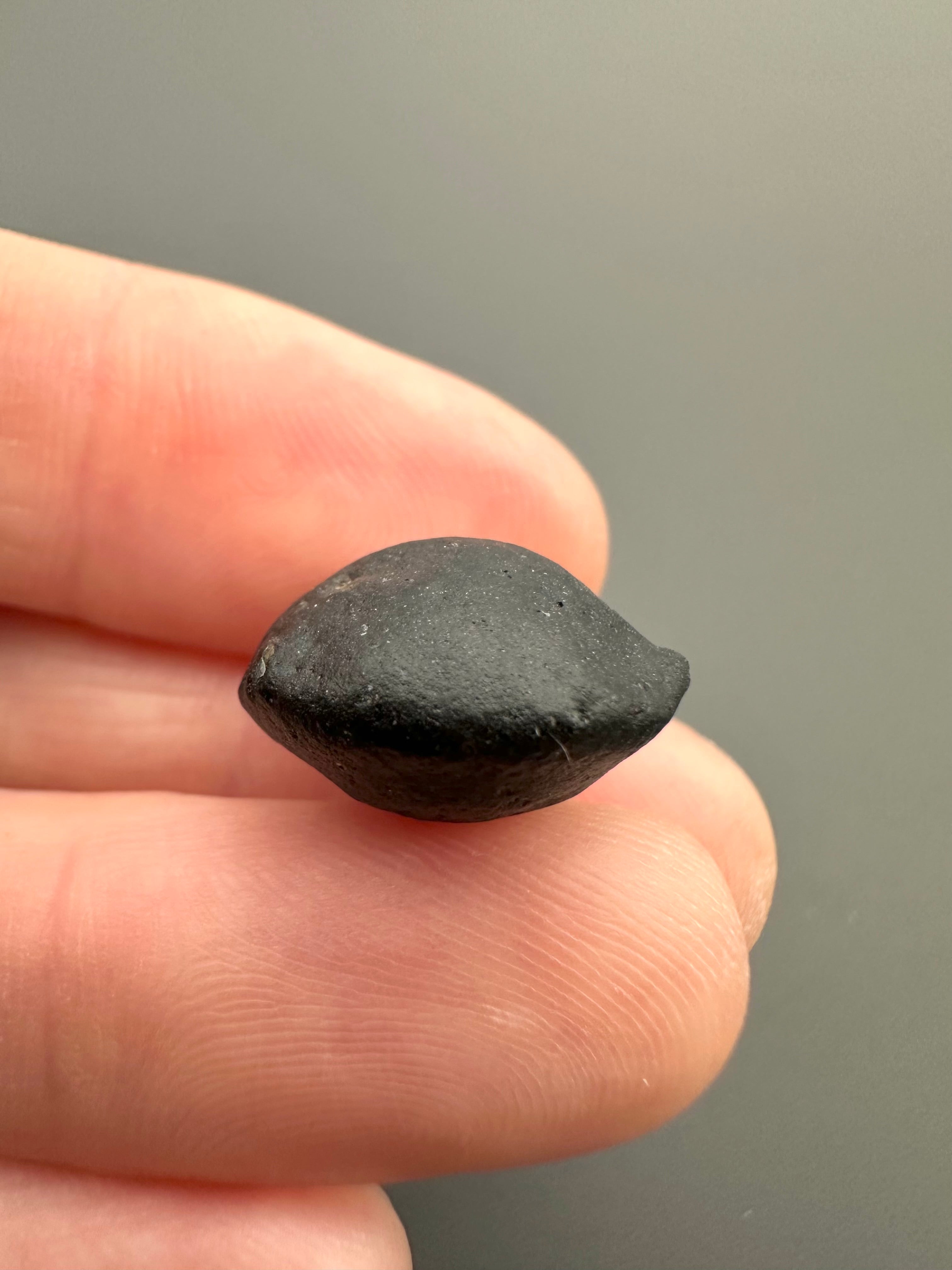 Australite "button" 2,3g – Kalgoorlie, Western Australia - AU043