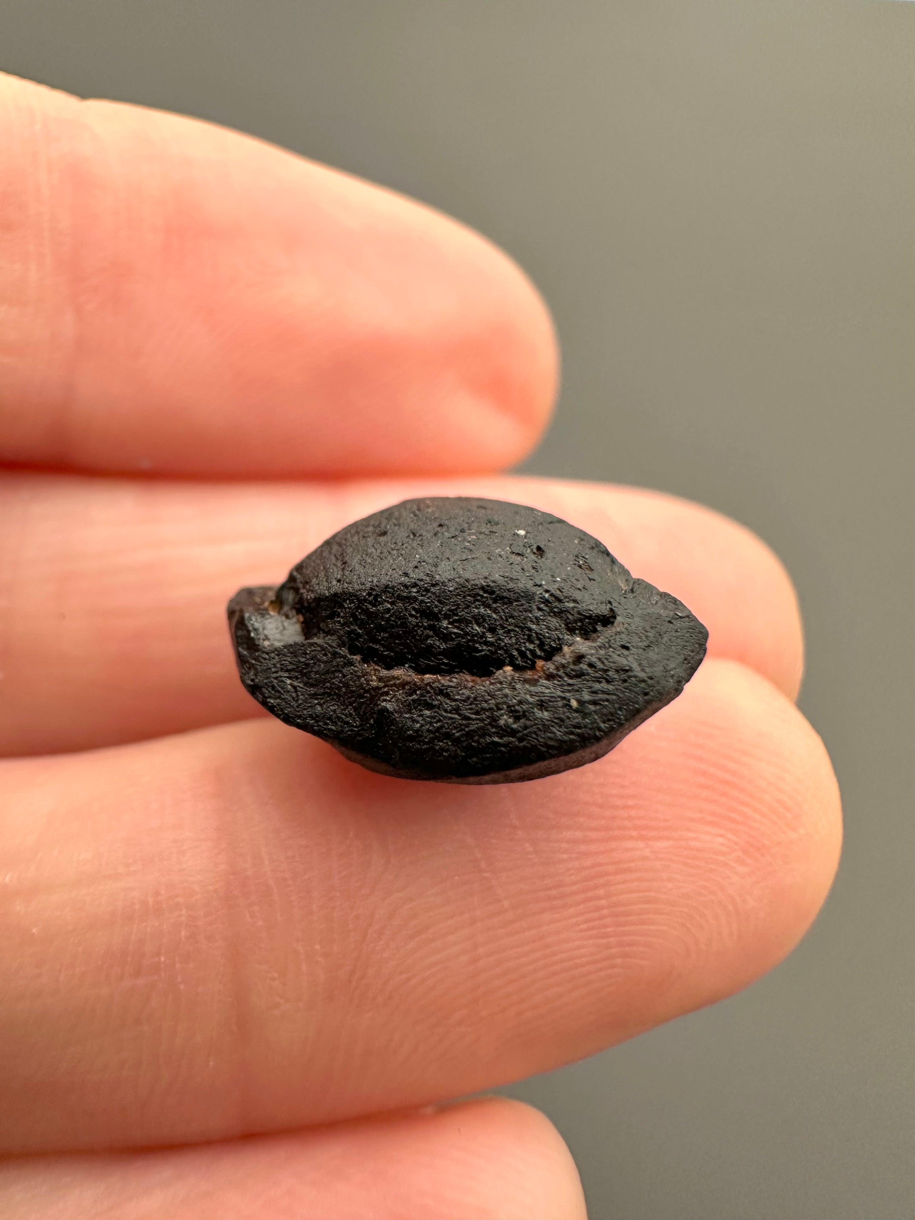 Australite "button" 1,8g – Kalgoorlie, Western Australia - AU045