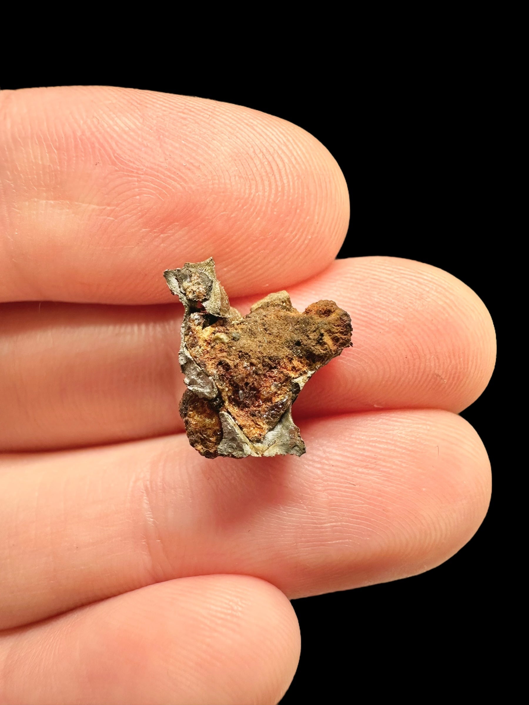 Meteorite Omolon 1,35g – Russia - MEOM01