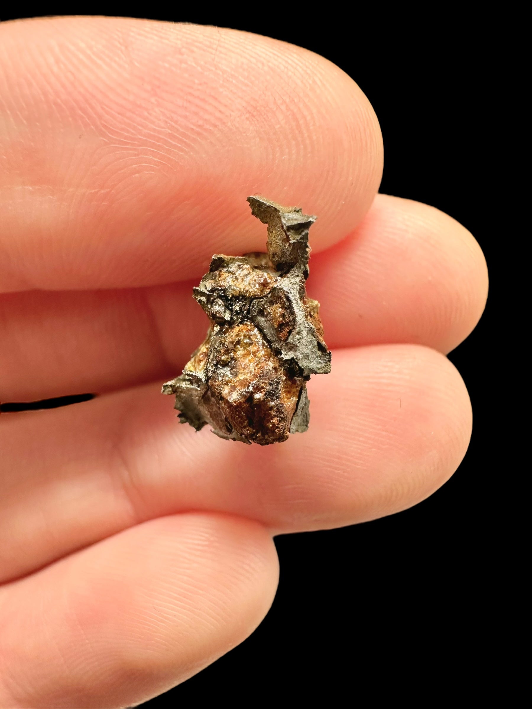 Meteorite Omolon 1,35g – Russia - MEOM01