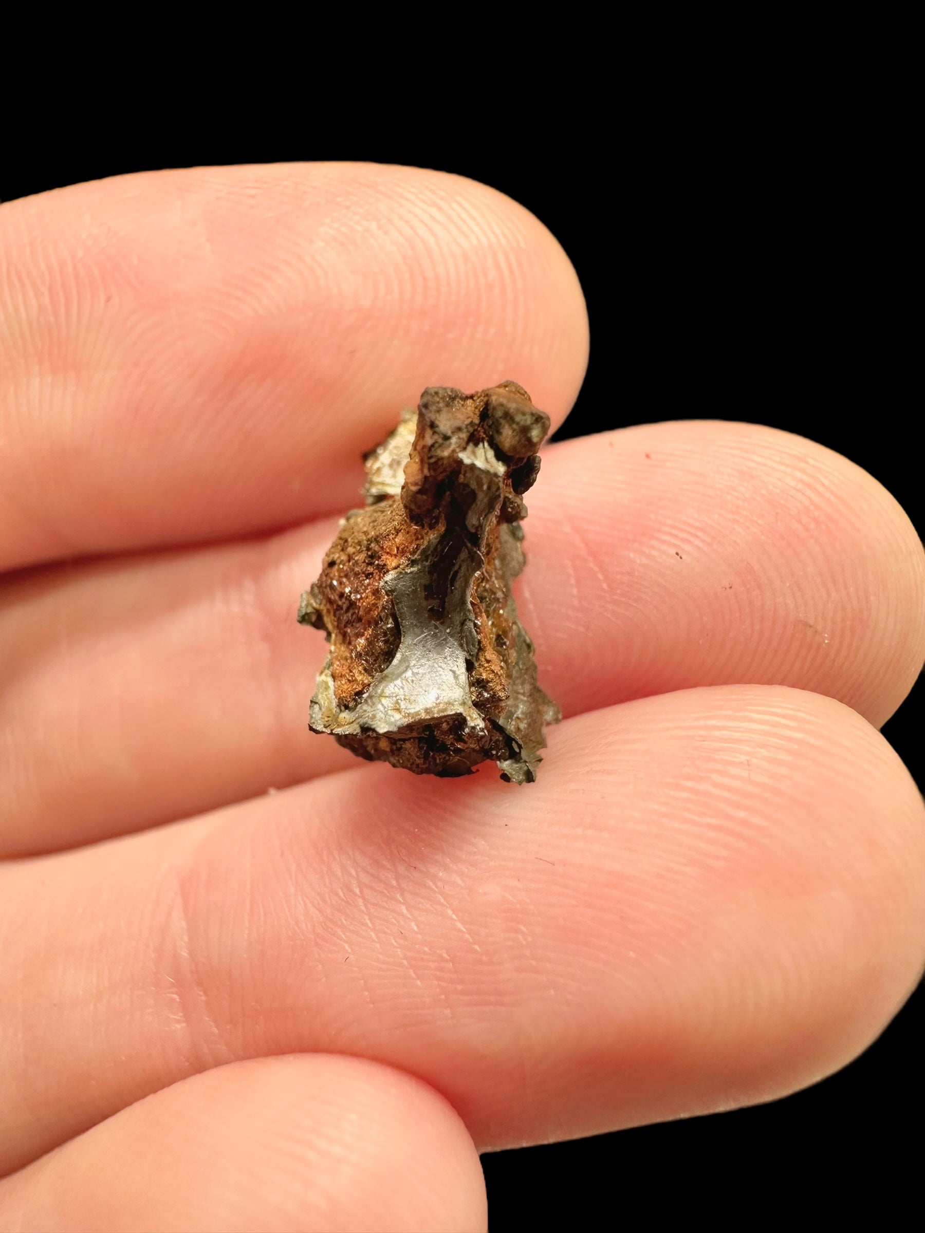 Meteorite Omolon 1,35g – Russia - MEOM01