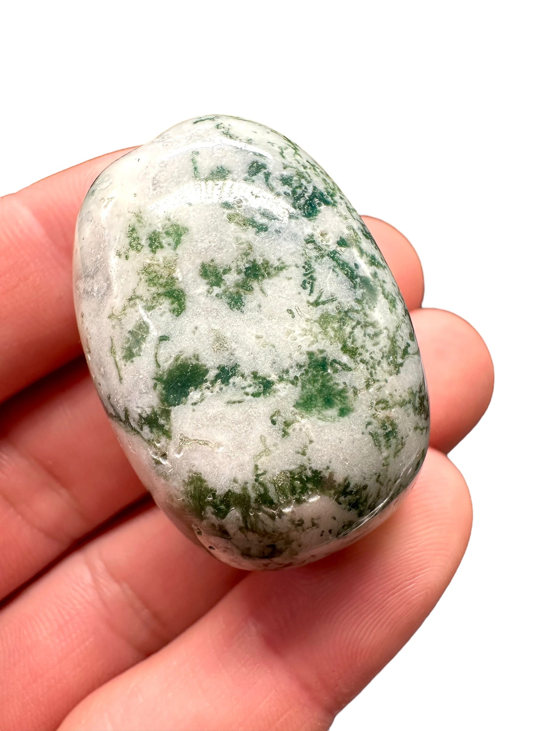 Moos agate – India - MECH03