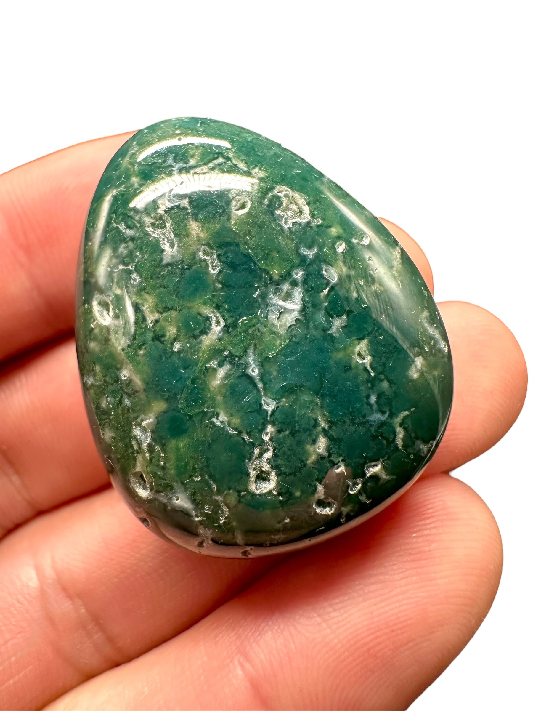 Moos agate – India - MECH11
