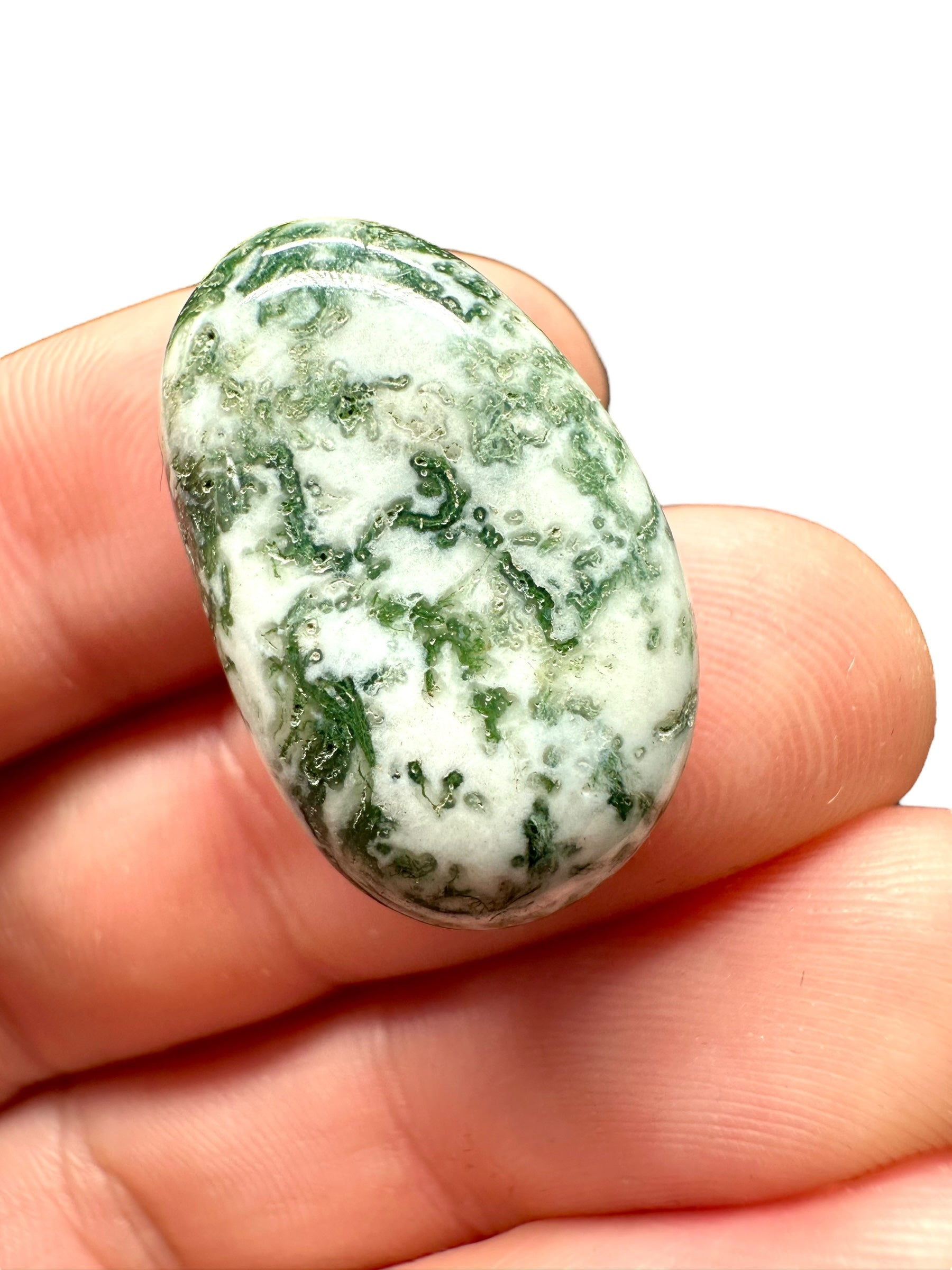 Moos agate – India - MECH14