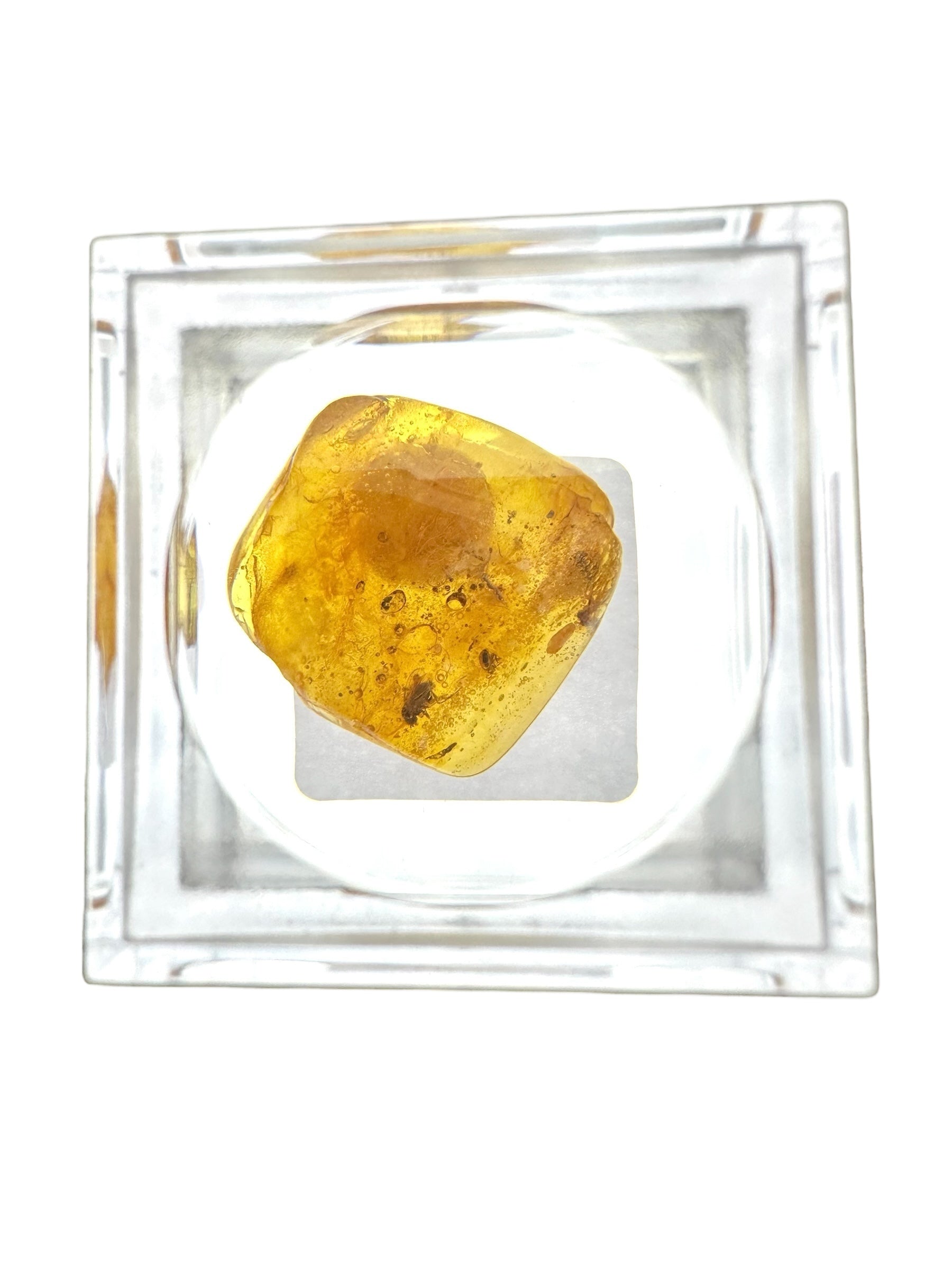 Insects in amber in a box with magnifying glass – Lithuania