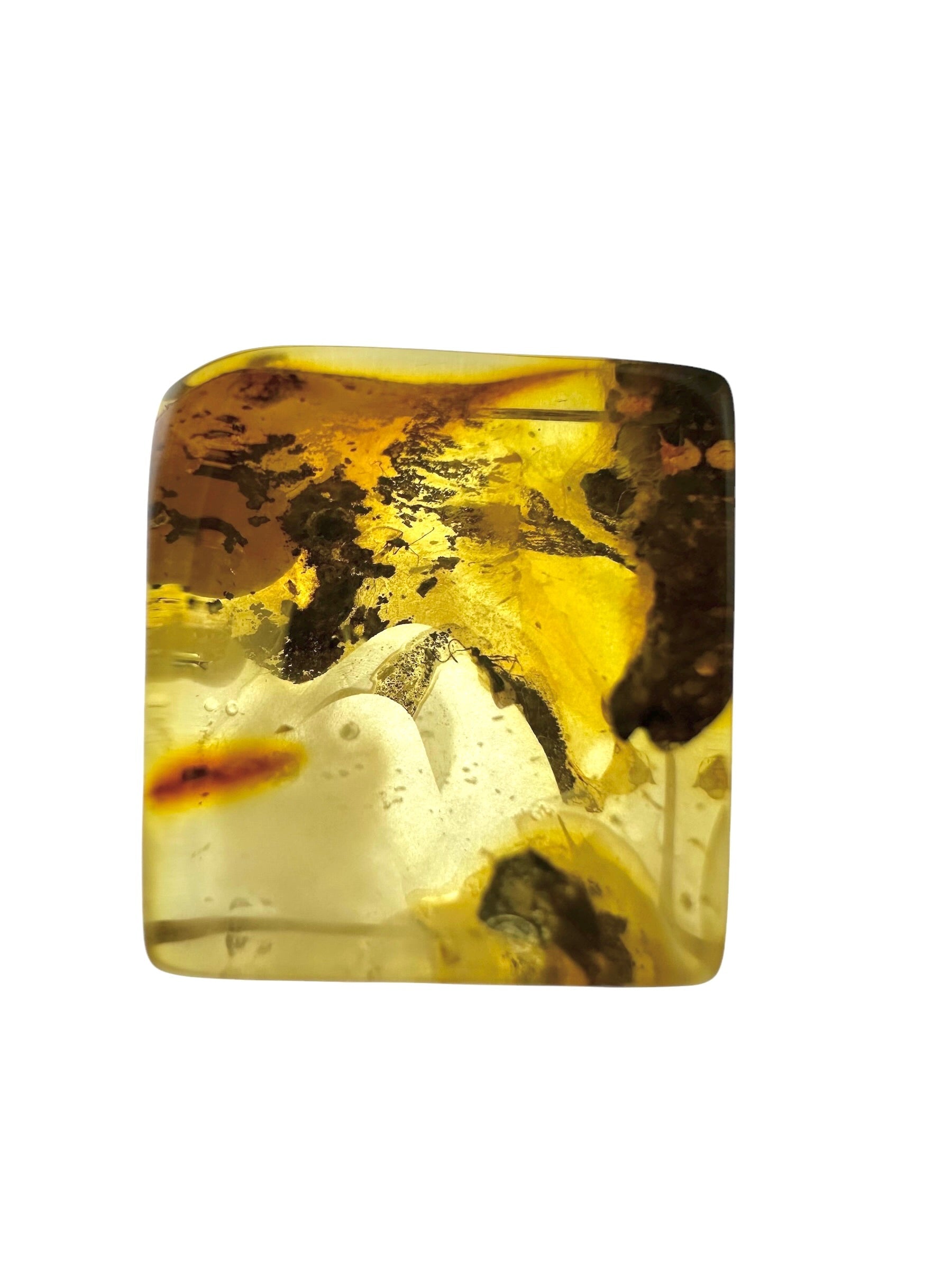 Insects in amber in a box with magnifying glass – Lithuania - IJK057