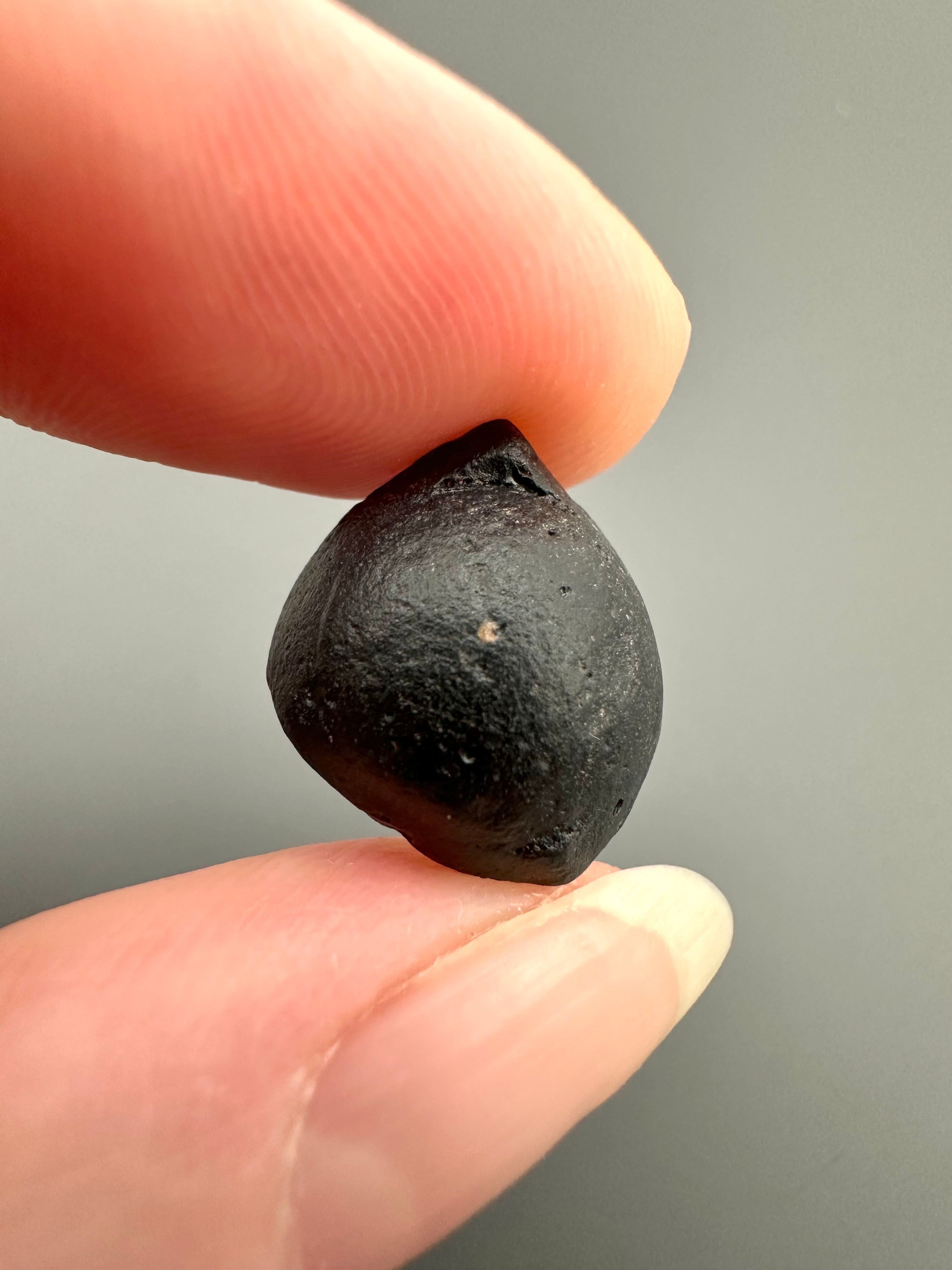 Australite "button" 1,8g – Kalgoorlie, Western Australia - AU057