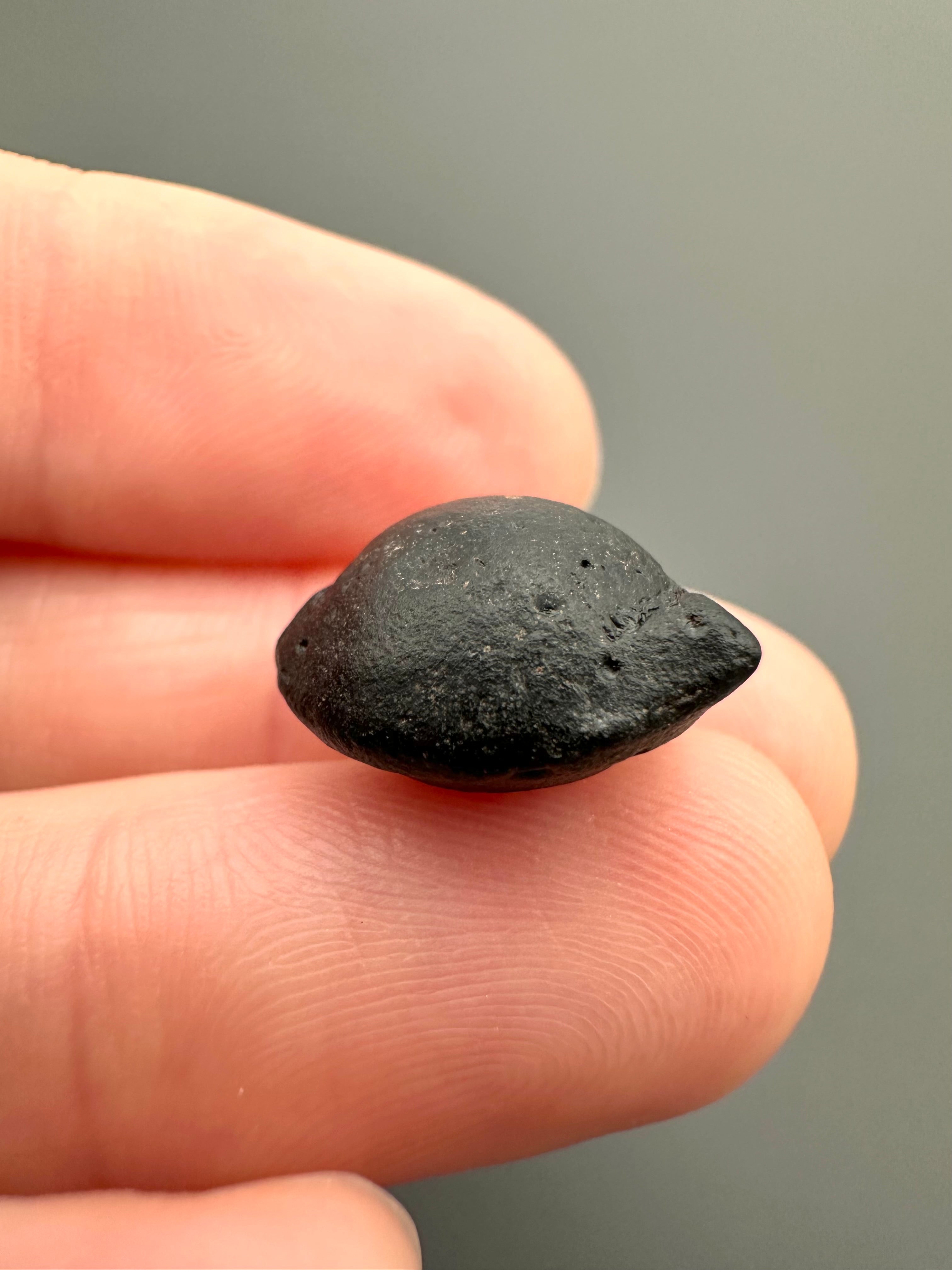 Australite "button" 1,8g – Kalgoorlie, Western Australia - AU057