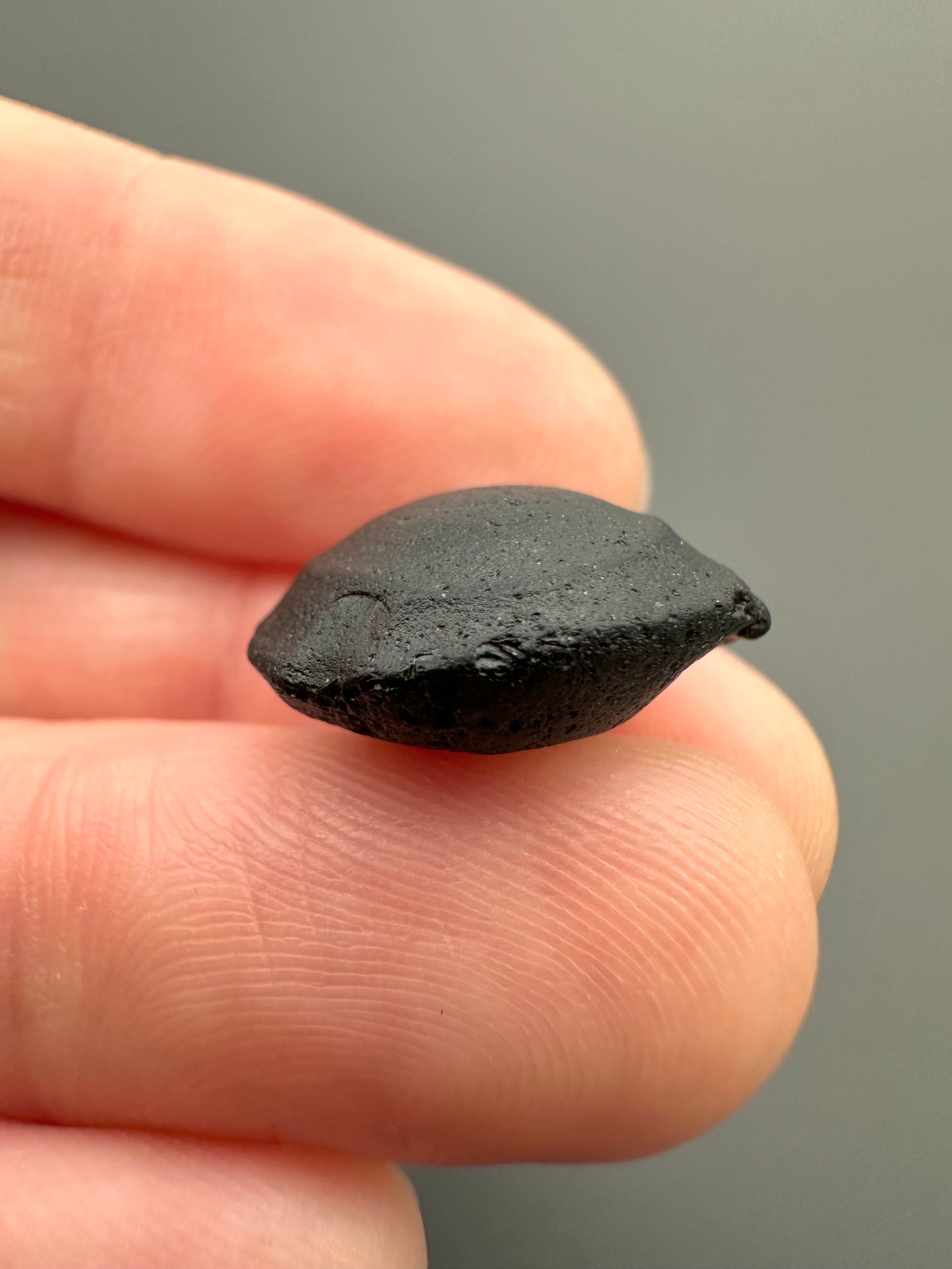 Australite "button" 1,8g – Kalgoorlie, Western Australia - AU060