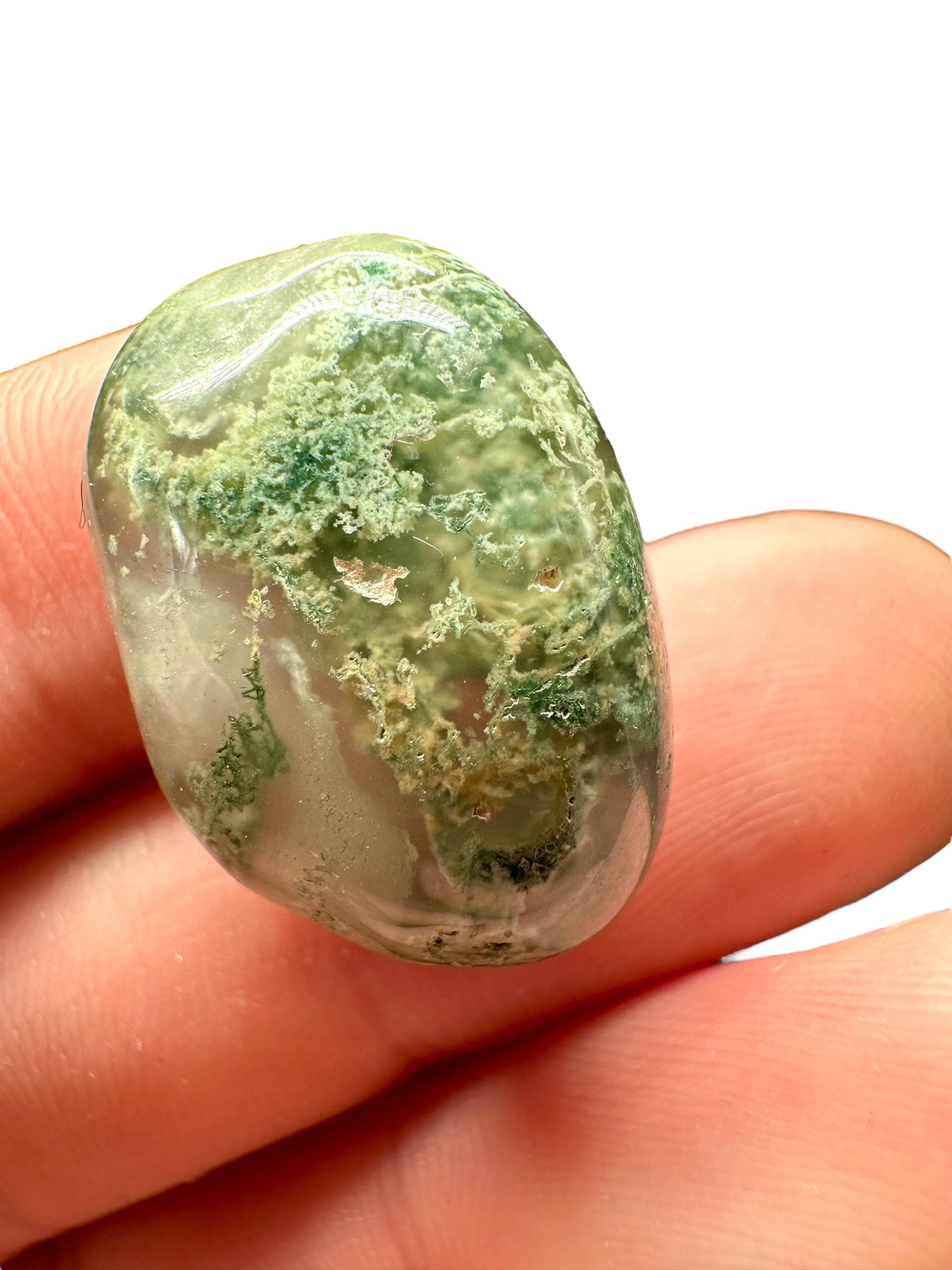 Moos agate – India - MECH17