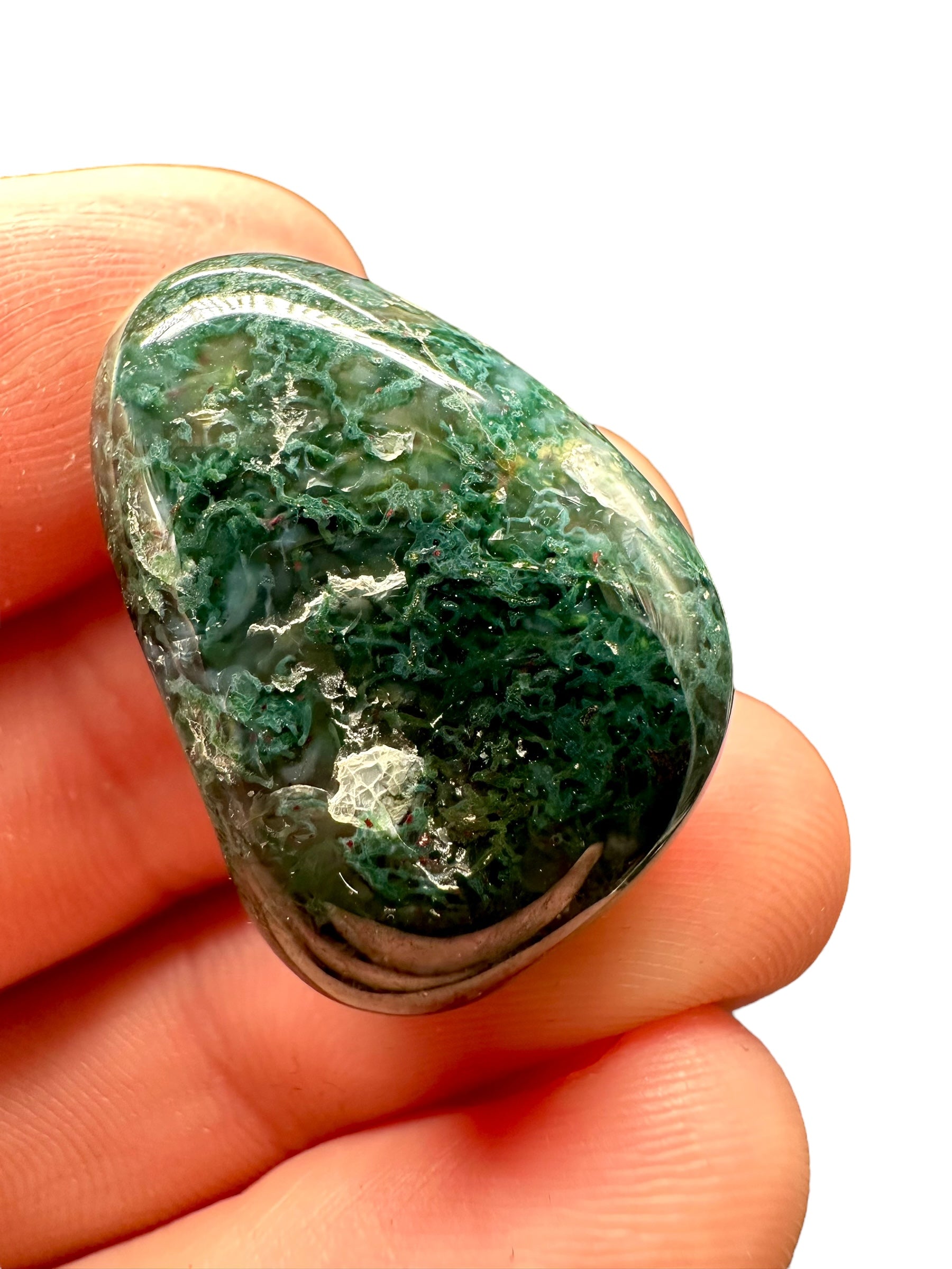 Moos agate – India - MECH19