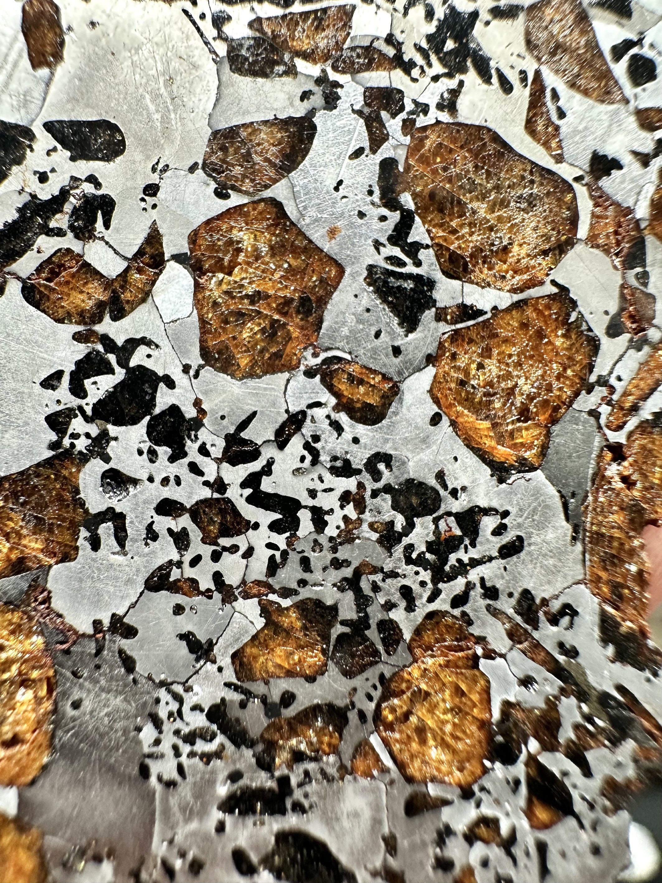 Meteorite Hassi el Biod 002 – 28,3g – Algeria - MEHA01