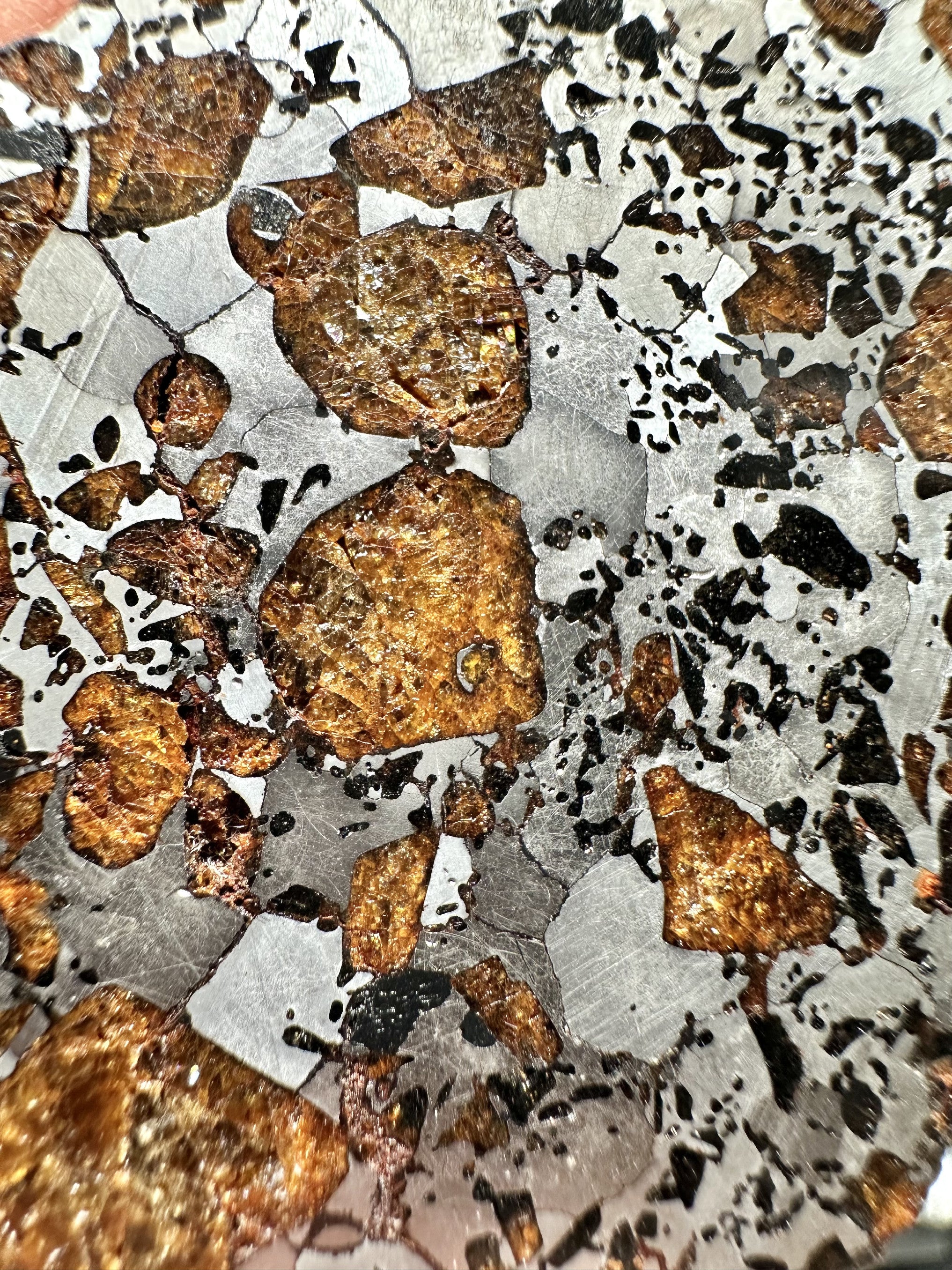 Meteorite Hassi el Biod 002 – 28,3g – Algeria - MEHA01