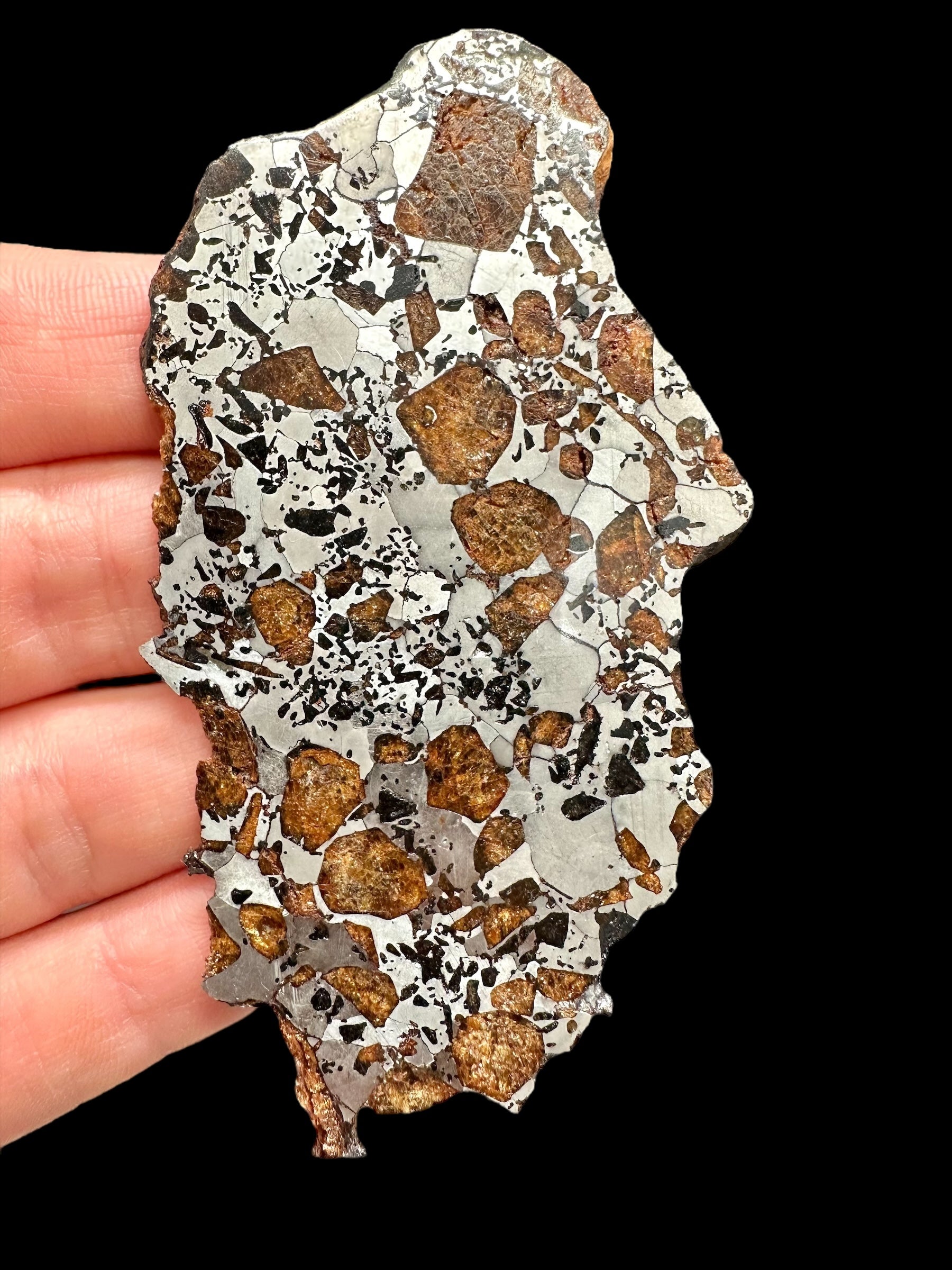 Meteorite Hassi el Biod 002 – 28,3g – Algeria