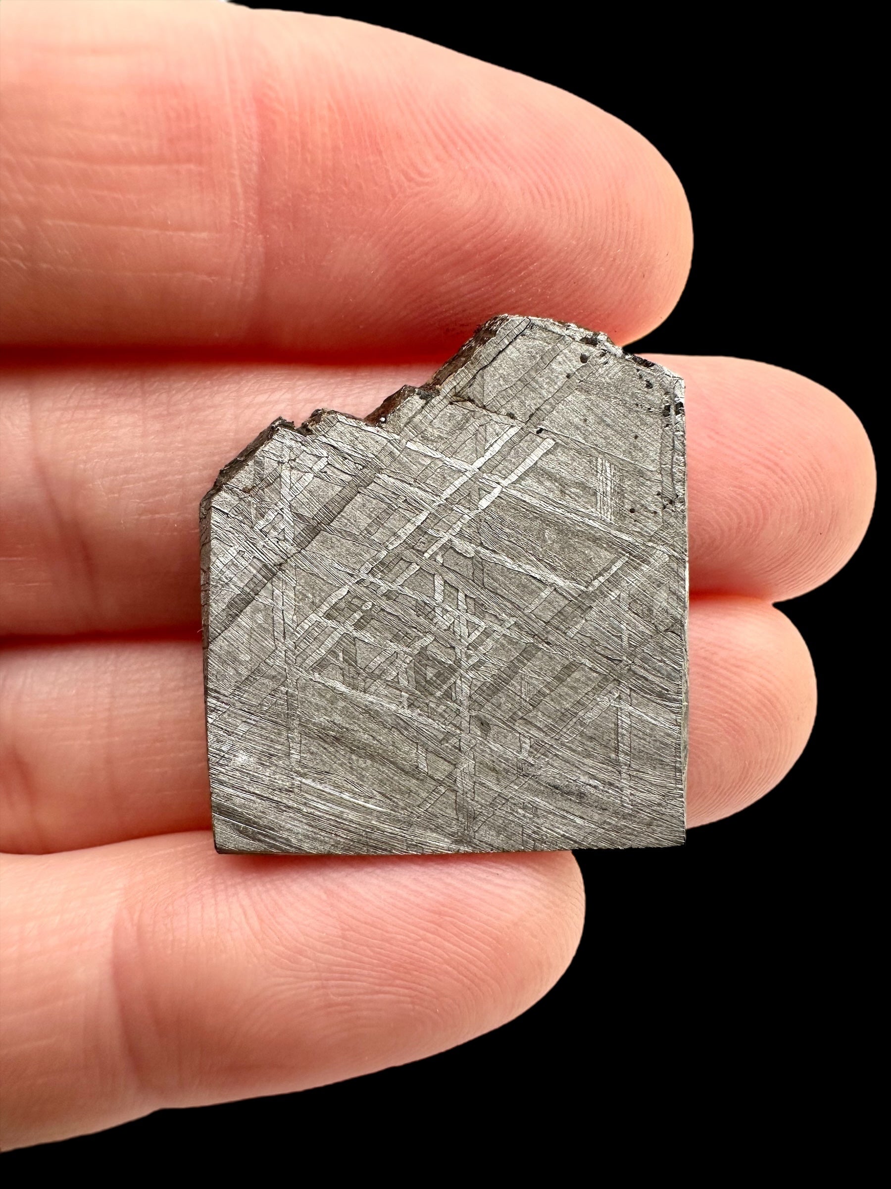 Meteorite Muonionalusta 8,4g – Norrbotten, Sweden