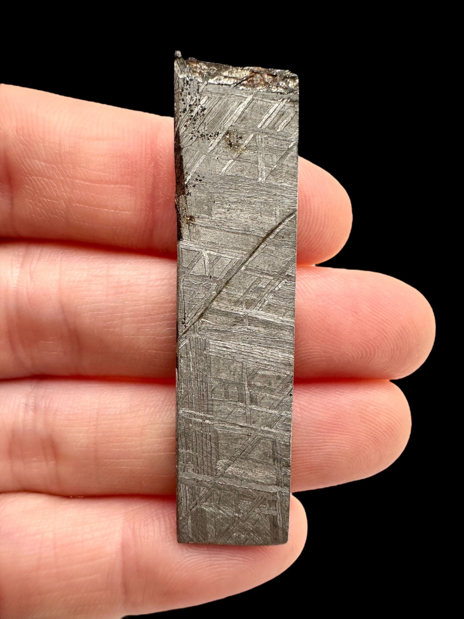 Meteorite Muonionalusta 8,4g – Norrbotten, Sweden - MEMO60