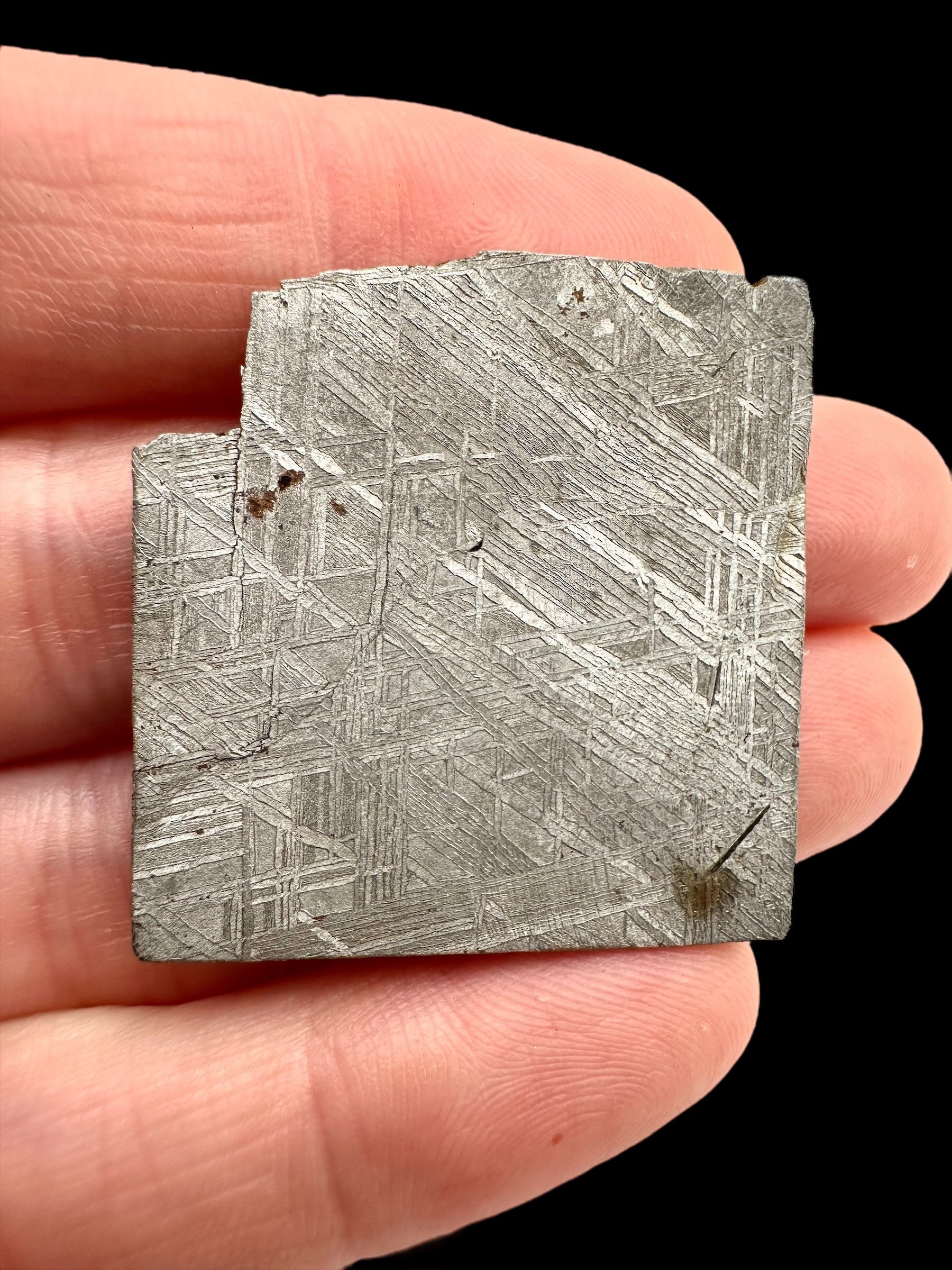 Meteorite Muonionalusta 14,7g – Norrbotten, Sweden - MEMO64