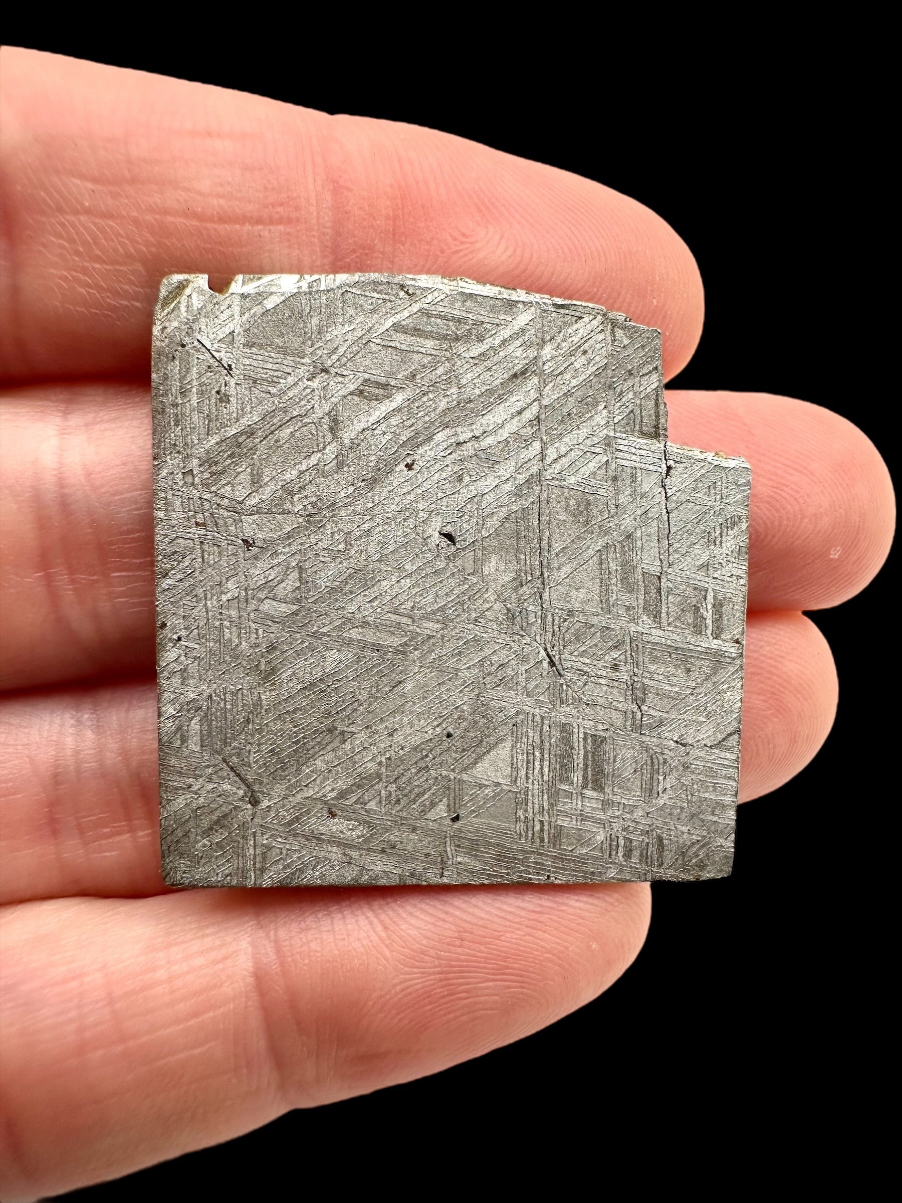 Meteorite Muonionalusta 14,7g – Norrbotten, Sweden