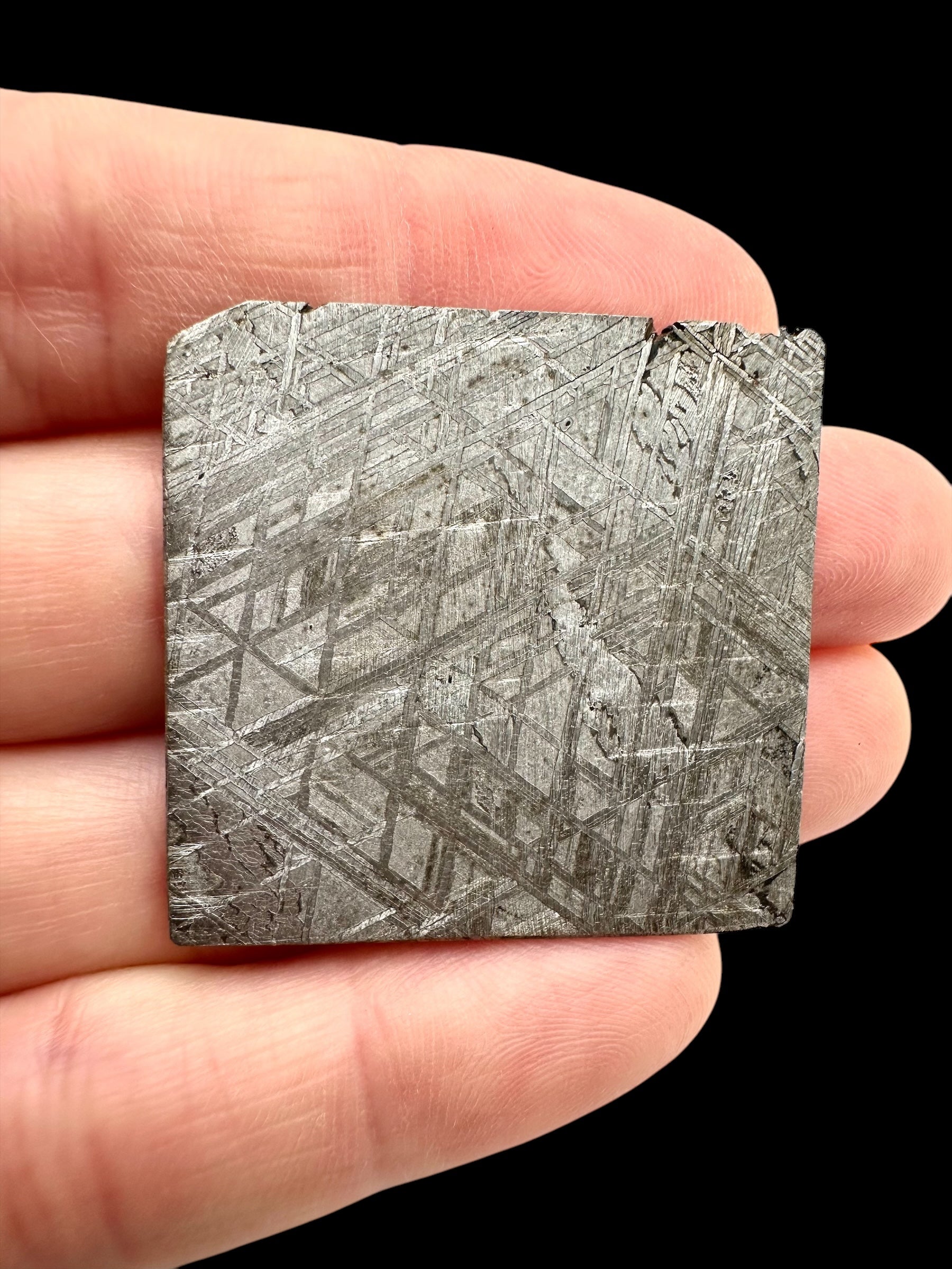 Meteorite Muonionalusta 8,6g – Norrbotten, Sweden - MEMO73