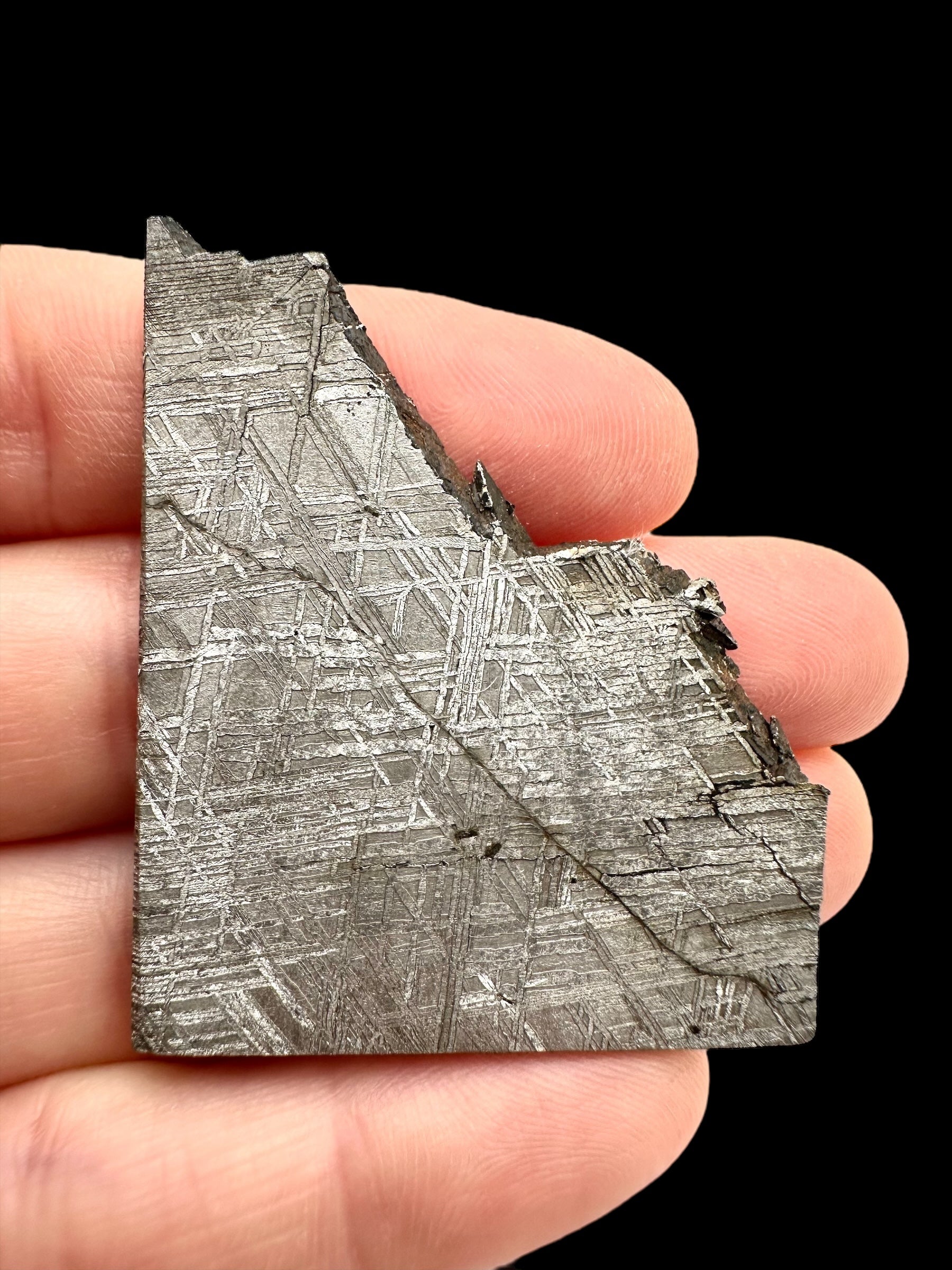 Meteorite Muonionalusta 20,3g – Norrbotten, Sweden