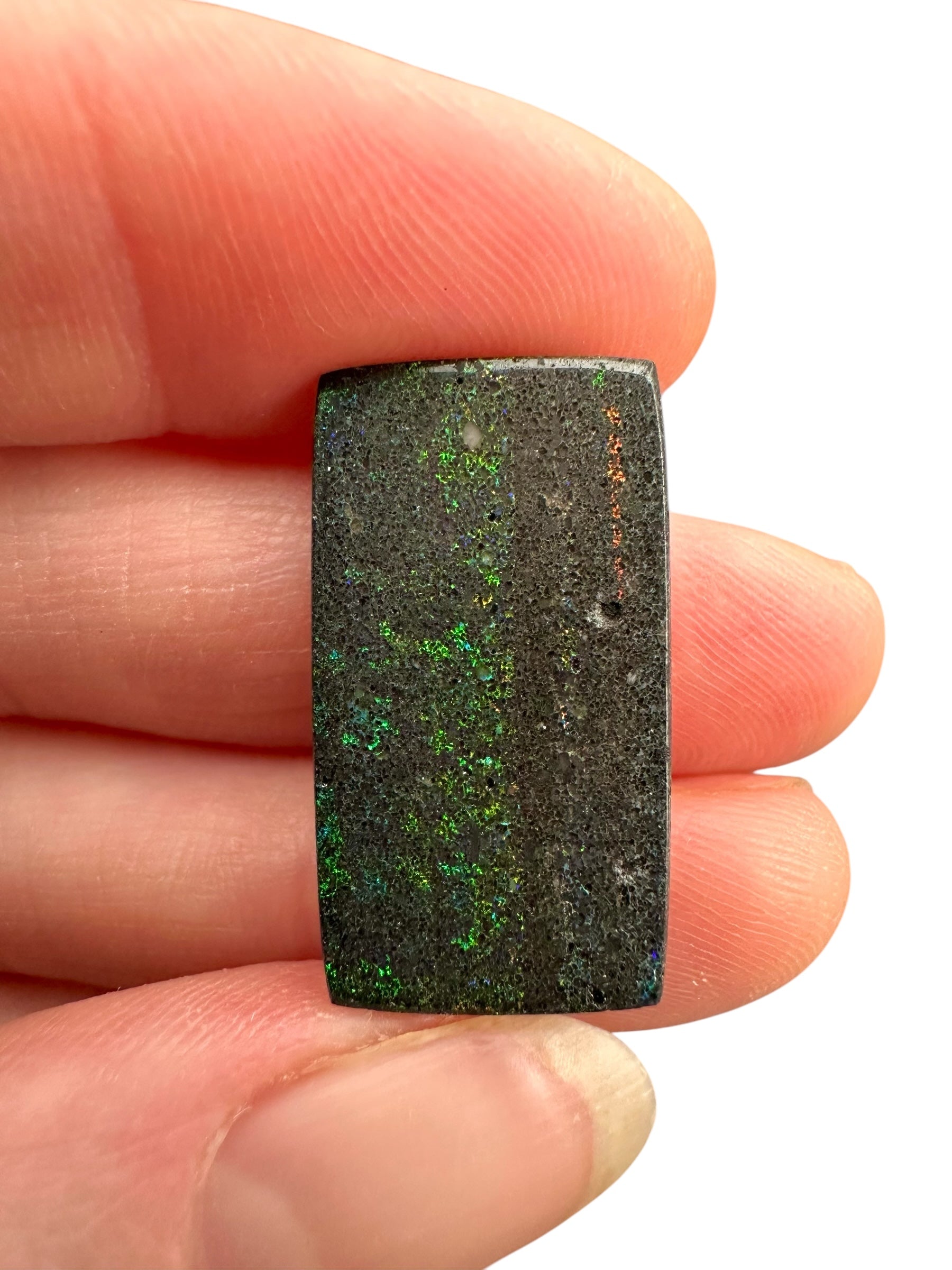 Indonesian opal 11,8ct – Cabochon – Indonesia - IO024