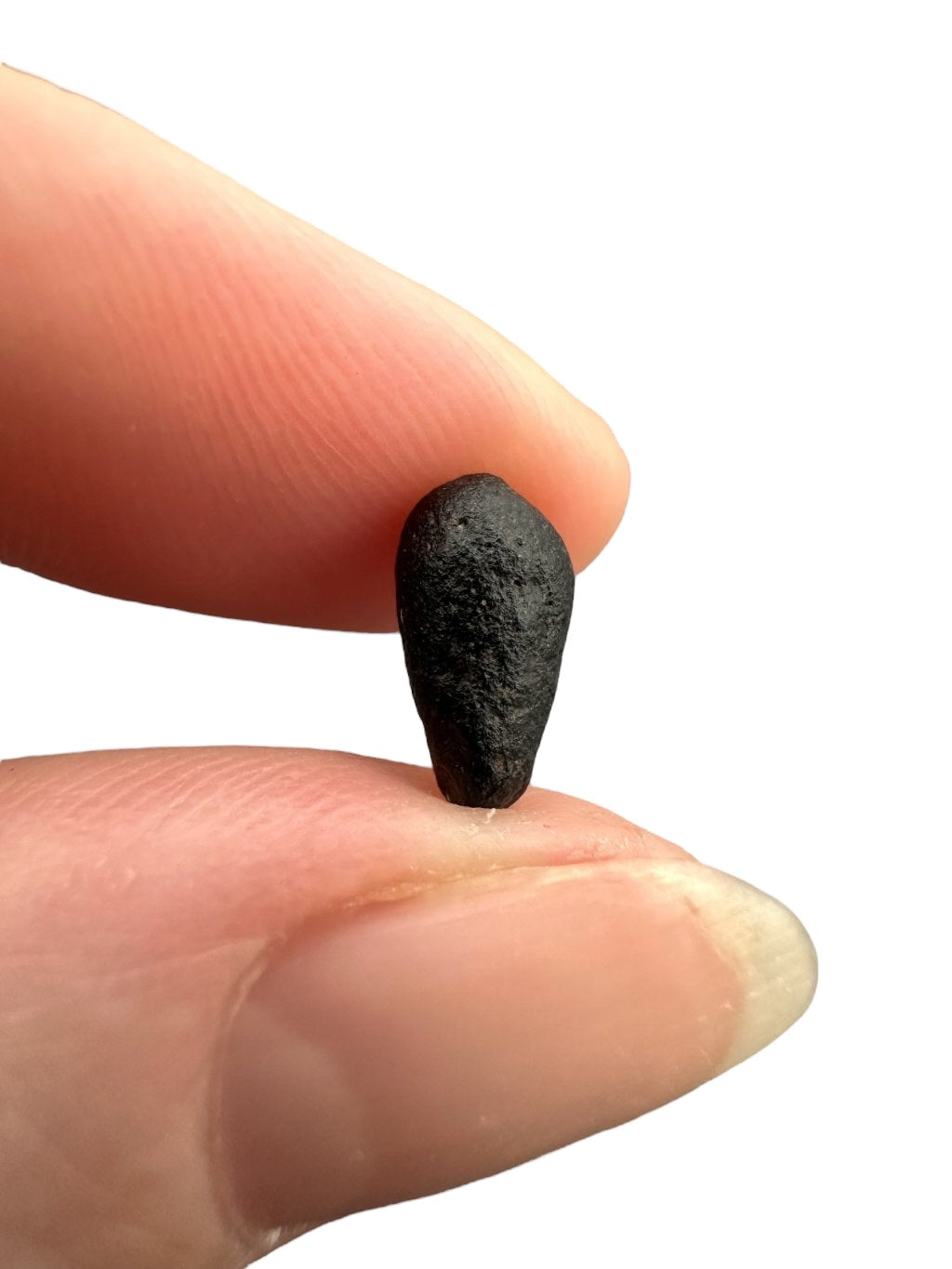 Atacamaite 0,3g – Atacama desert, Chile - ATC065